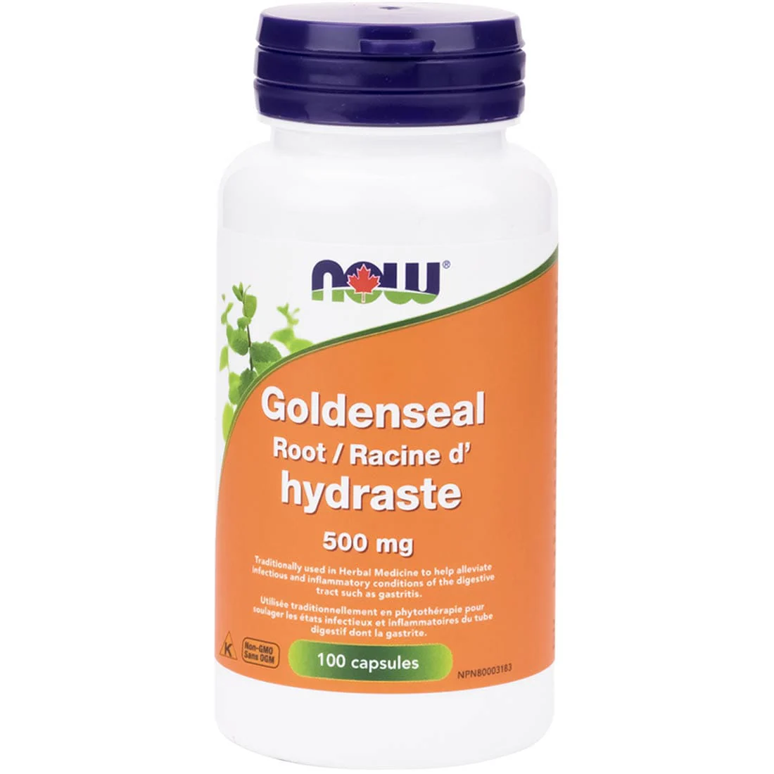 NOW Goldenseal Root, 500mg - Image 3