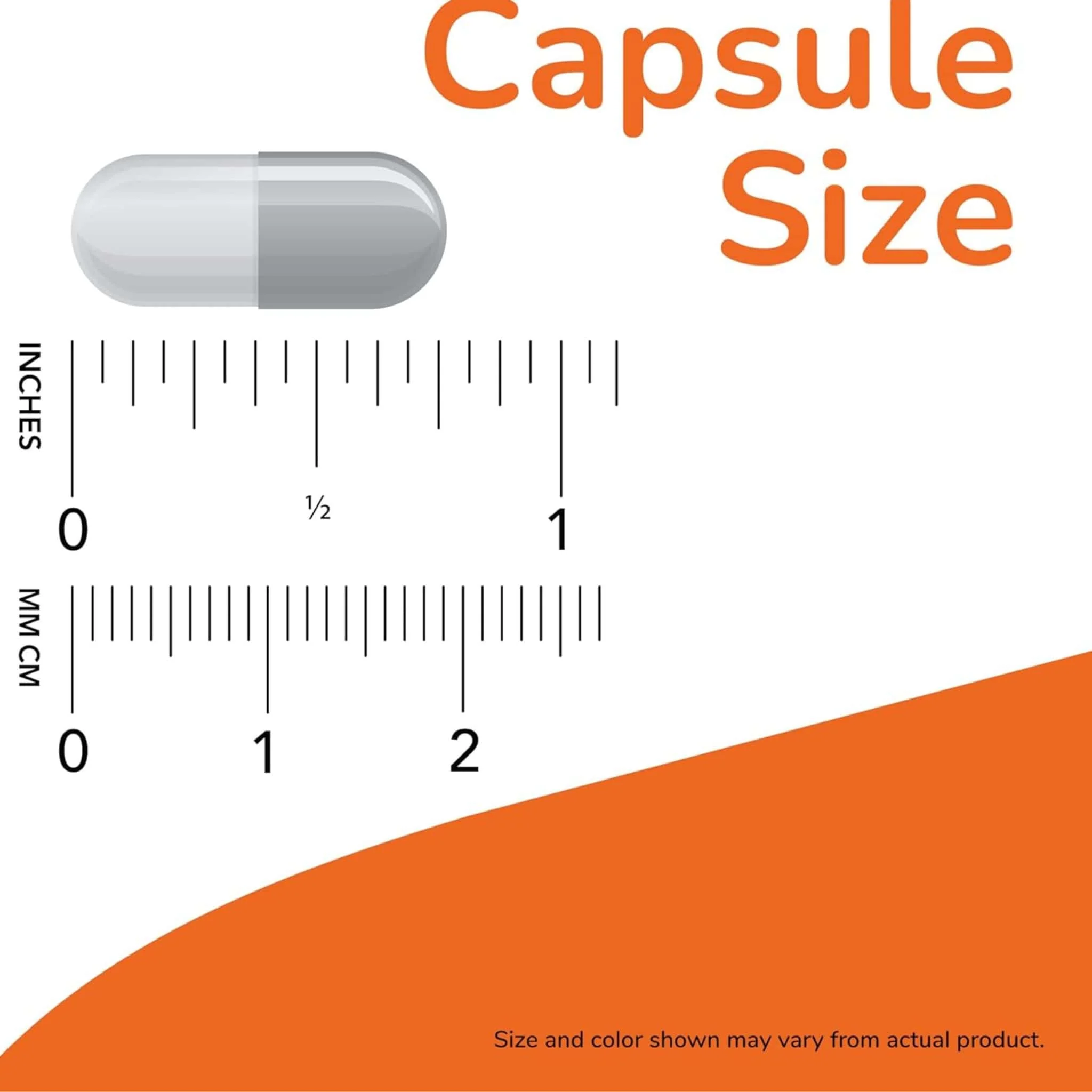 NOW L-Carnosine 500mg, 50 Vcaps - Image 4