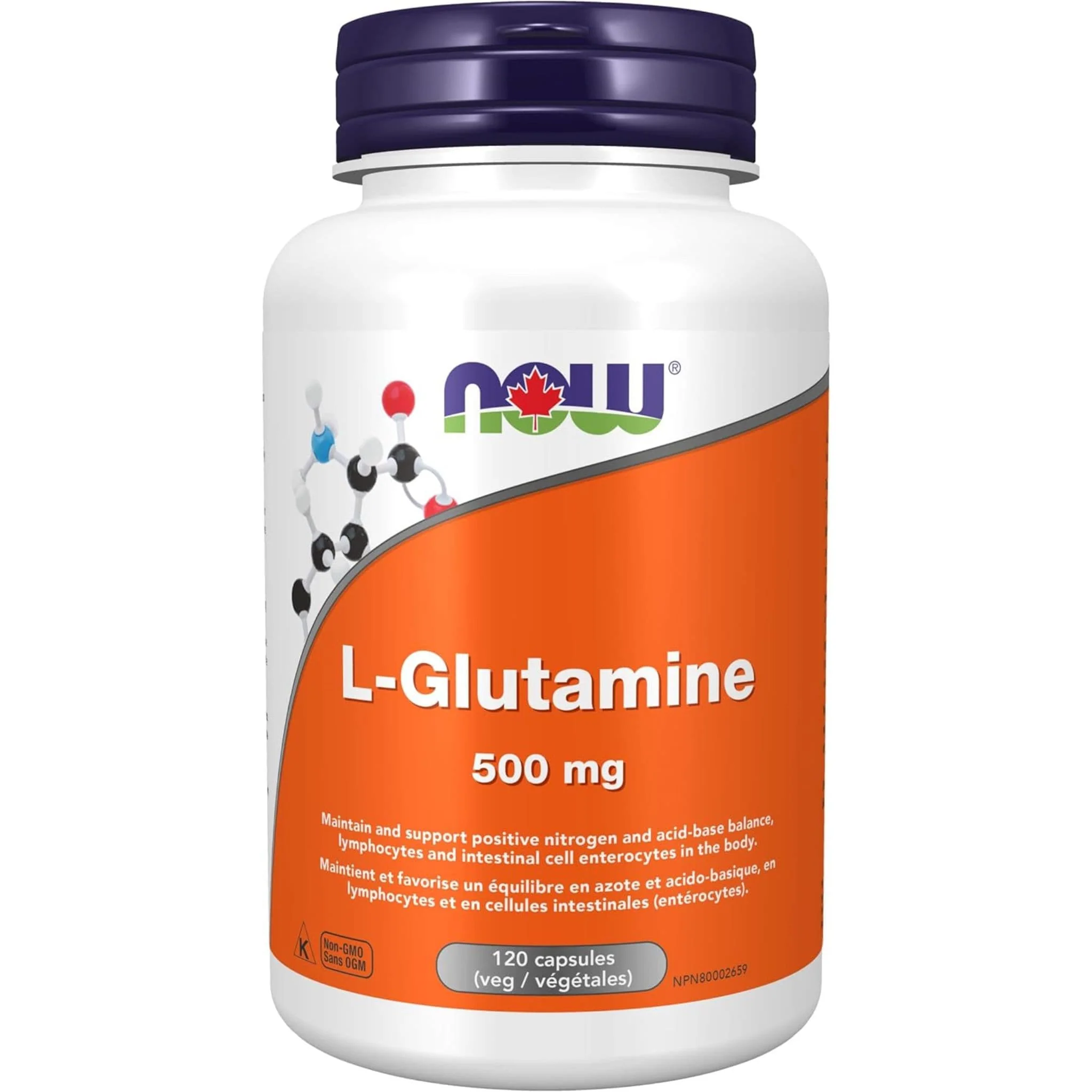 NOW L-Glutamine 500mg, Free Form, 120 Capsules - Image 2