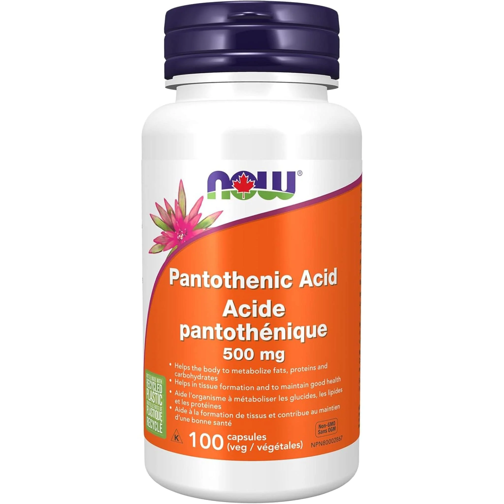 NOW Pantothenic Acid 500mg
