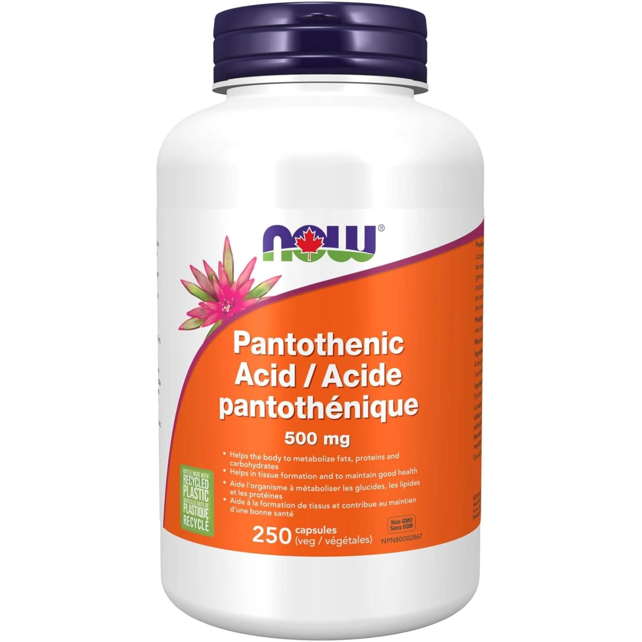 NOW Pantothenic Acid 500mg - Image 5