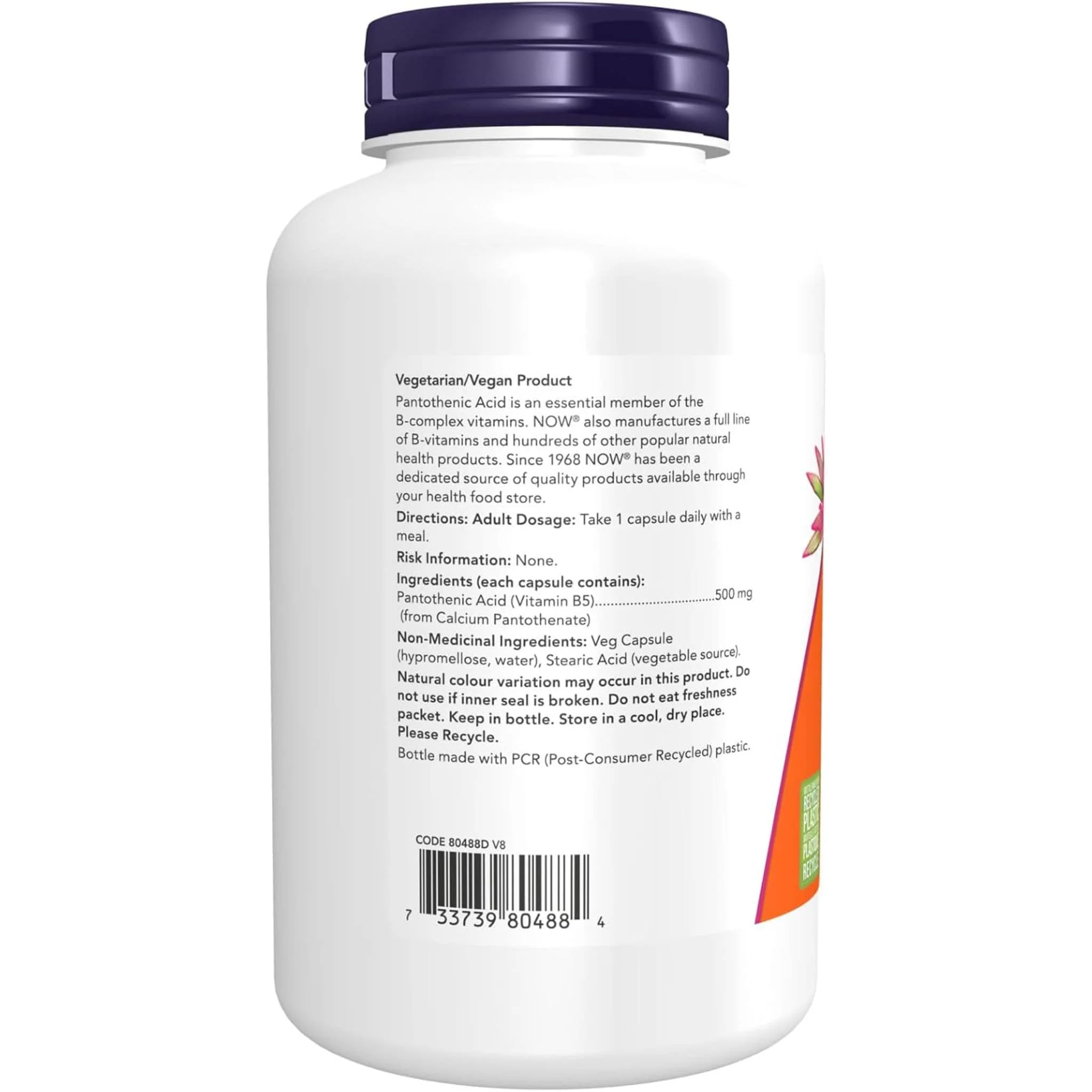 NOW Pantothenic Acid 500mg - Image 6