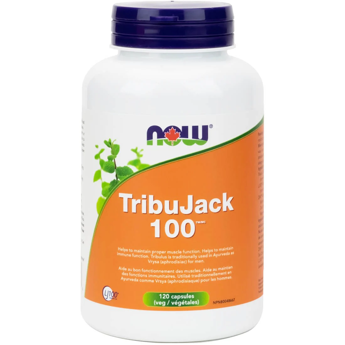 NOW TribuJack 100 with Longjack & ZMA (Male Performance Formula) - Image 6