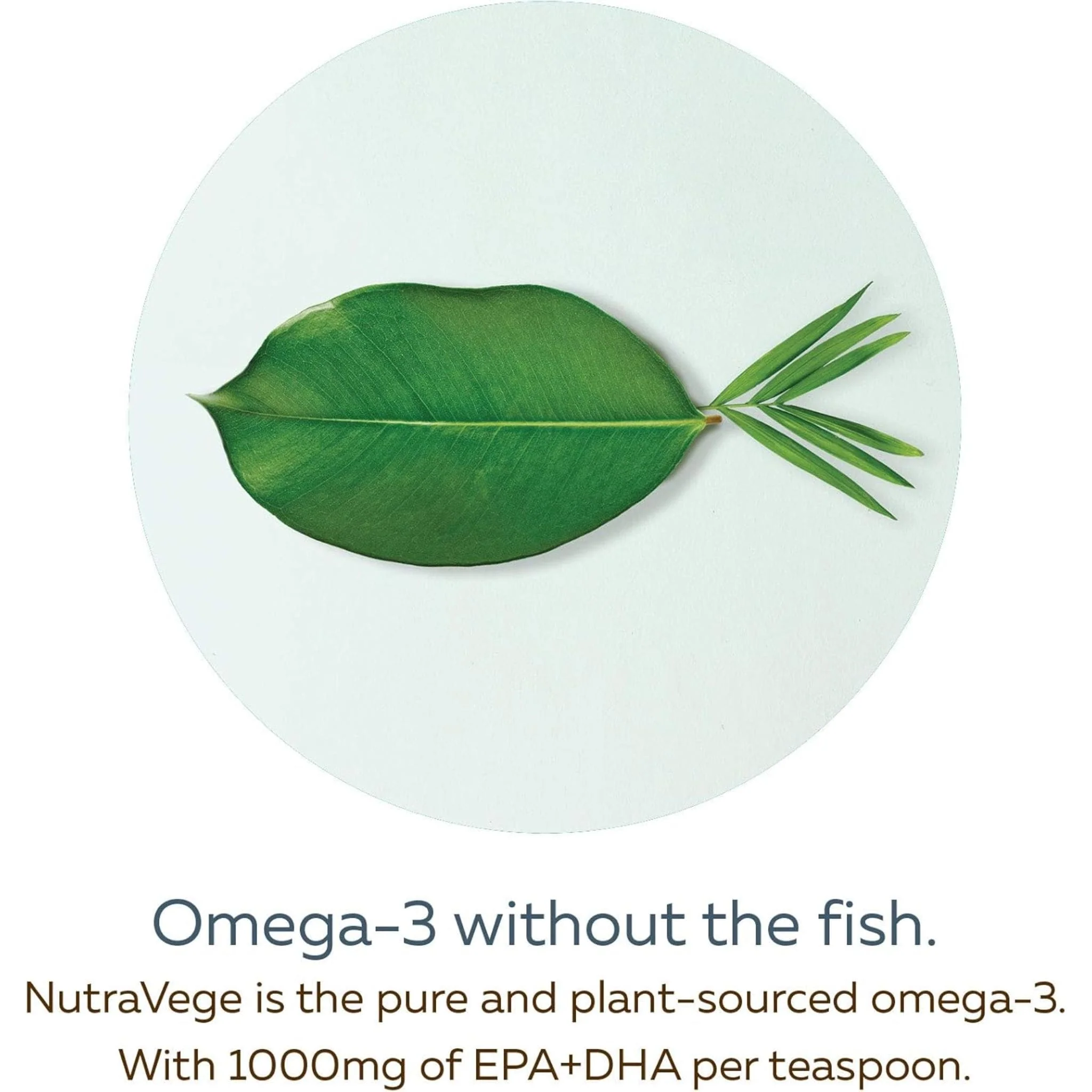 NutraSea NutraVege Omega-3 +D (Plant Based) Extra Strength Liquid, 200ml - Image 4