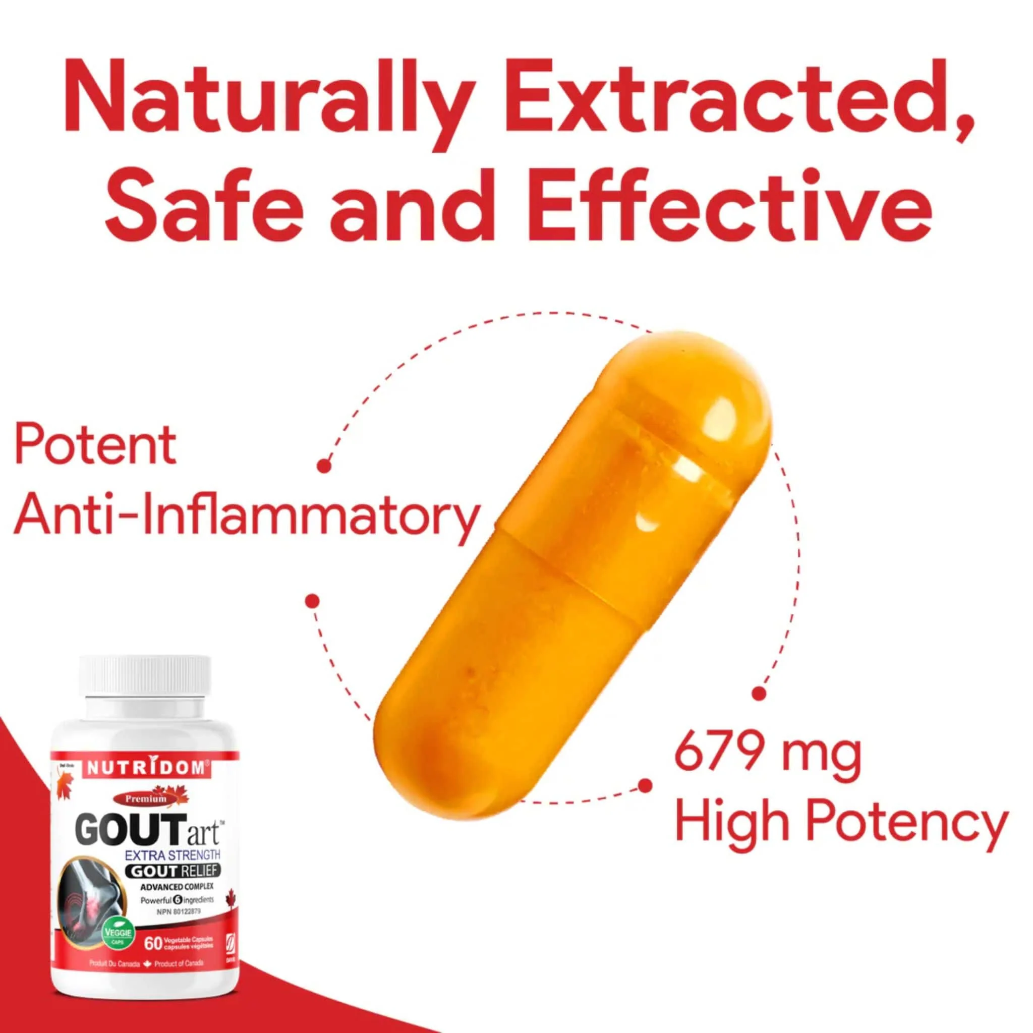 Nutridom GOUTart, Featuring Tart Cherry, Curcumin, Celery Seed, Devil's Claw, Vitamin C and Bromelain, Gout Relief and Anti-Inflammatory Support, 60 Vegetable Capsules - Image 2