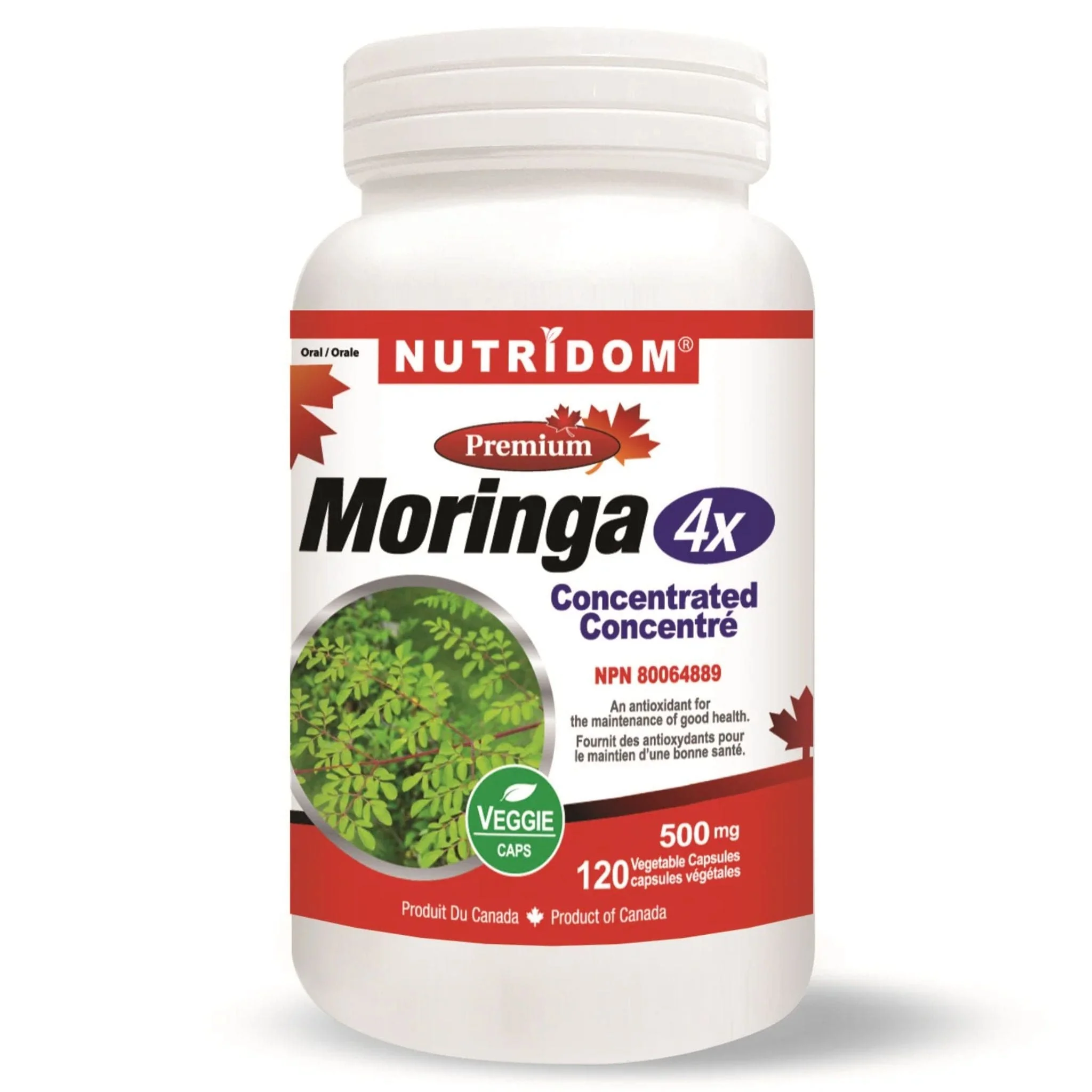 Nutridom Moringa Leaf Extract 500mg 4X Concentrated, 120 Vegetable Capsules