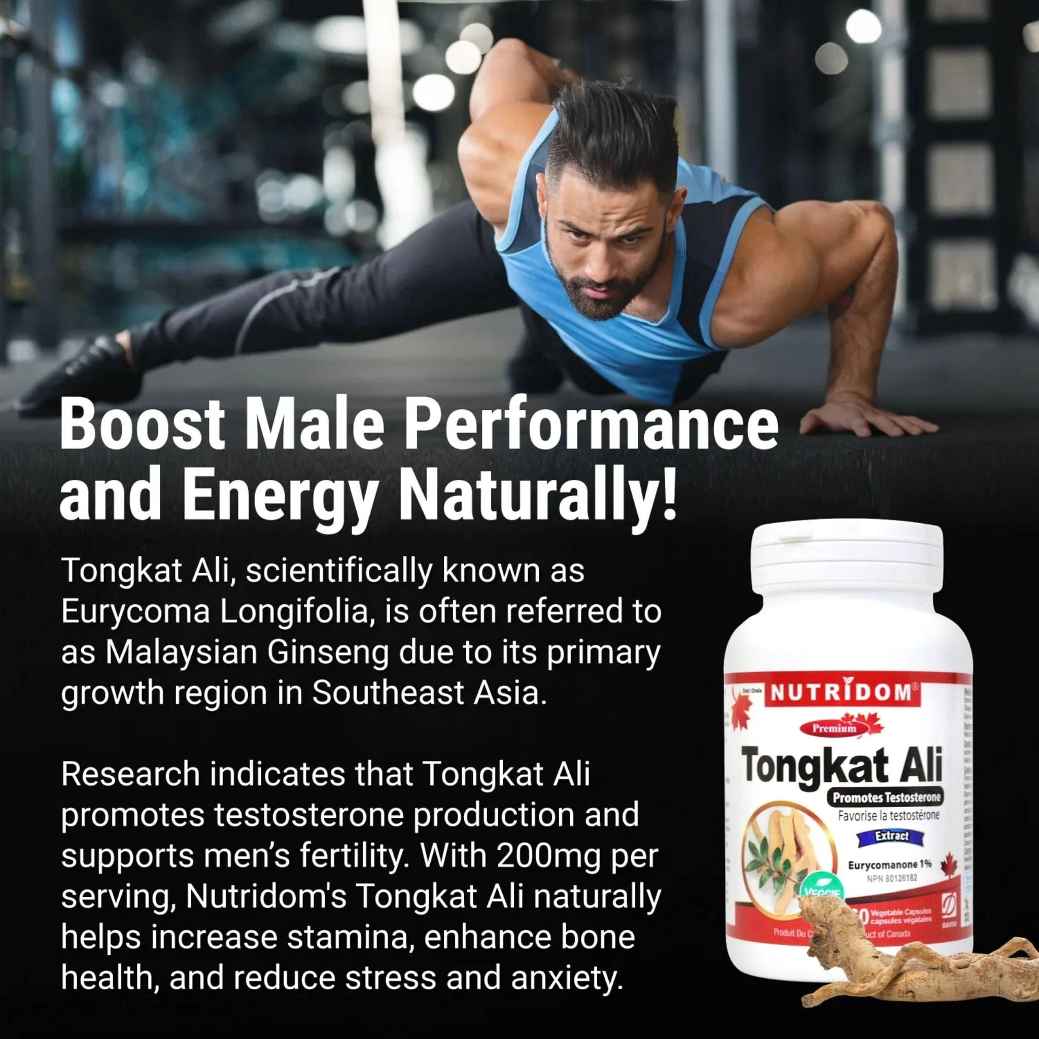 Nutridom Tongkat Ali 200mg, Promotes Testosterone,  60 Vegetable Capsules - Image 8
