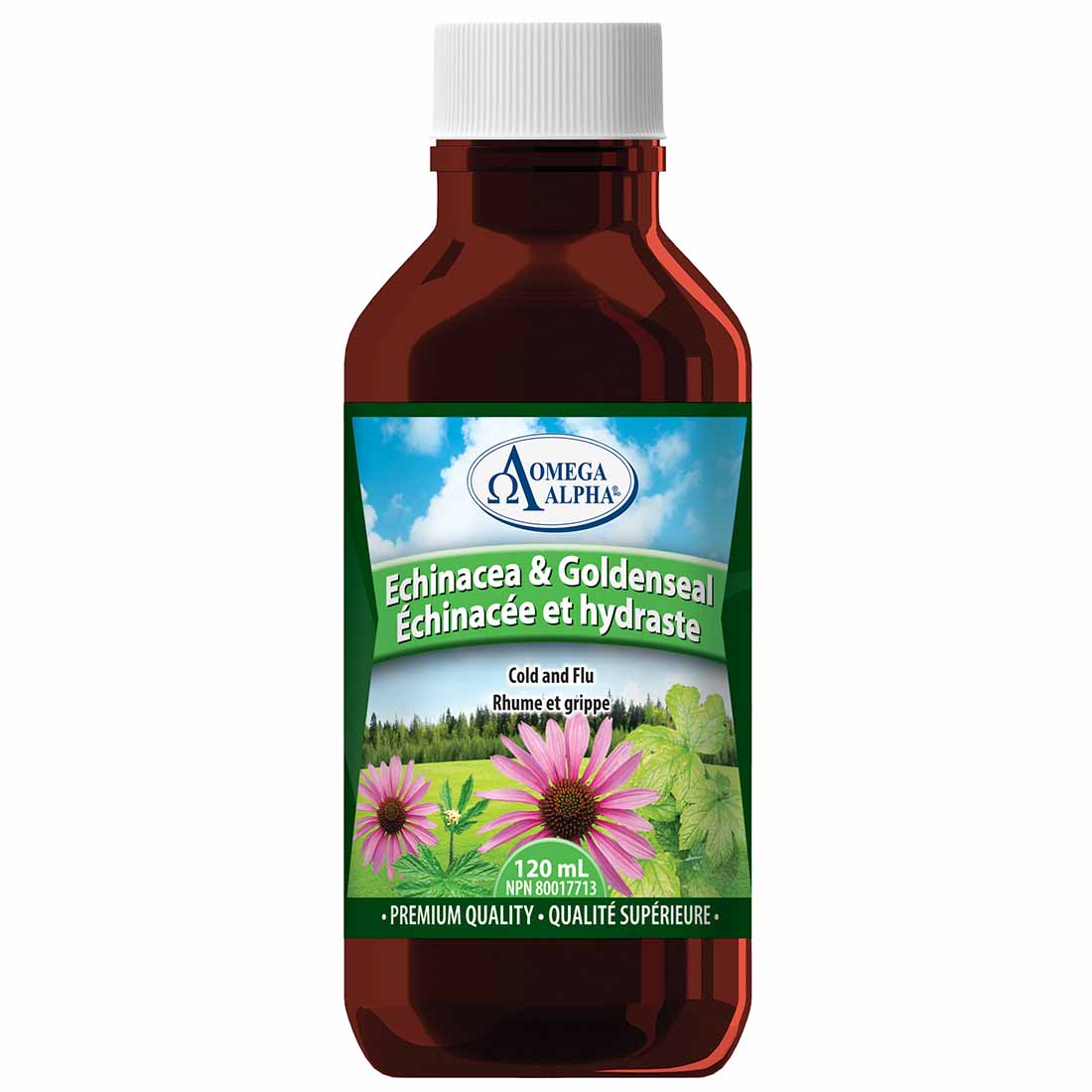 Omega Alpha Echinacea & Goldenseal Liquid - Image 3