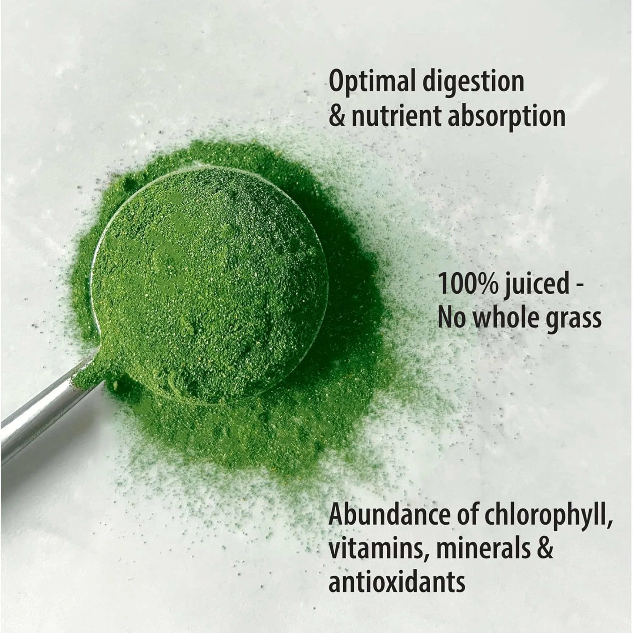 Organic Traditions Barley Grass Juice Powder, 150 g - Image 4