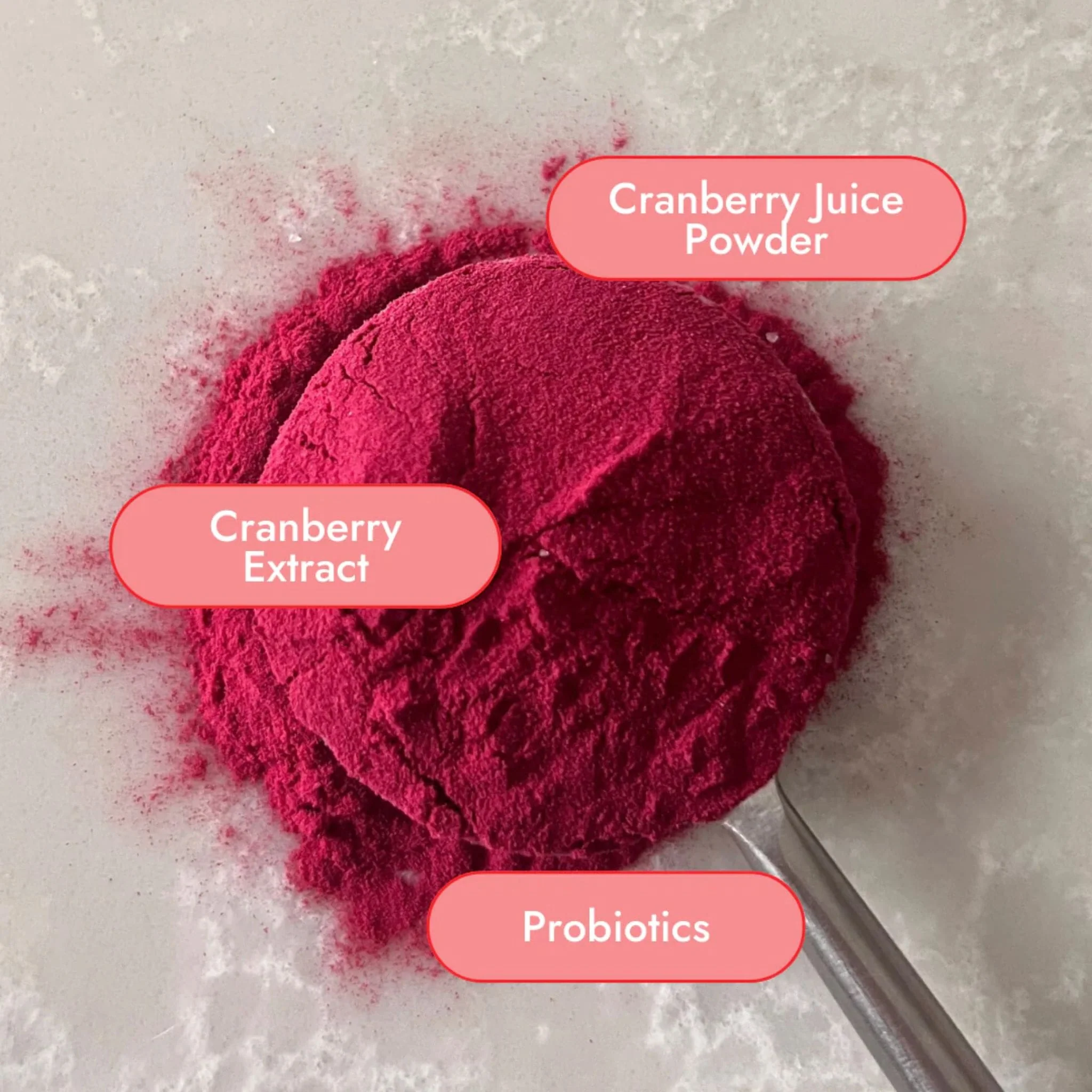 Organic Traditions Daily Cranberry with 1 Billion Probiotics and 36mg PACs for UTI Prevention, 100g - Image 4