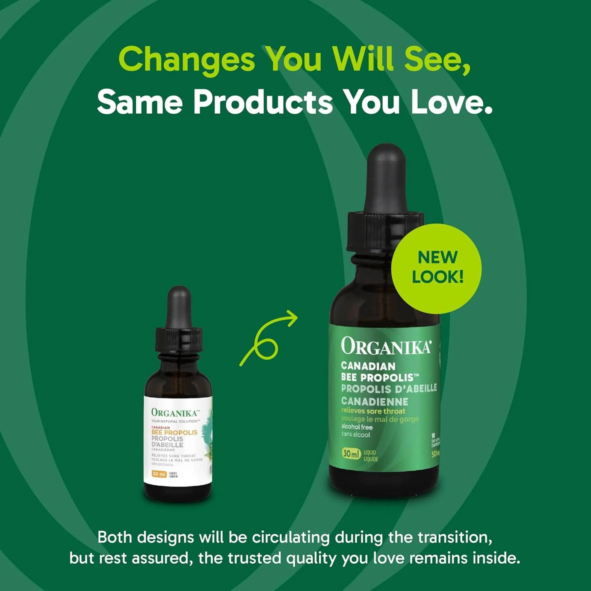 Organika Bee Propolis (Canadian) - Liquid Alcohol Free - Image 5