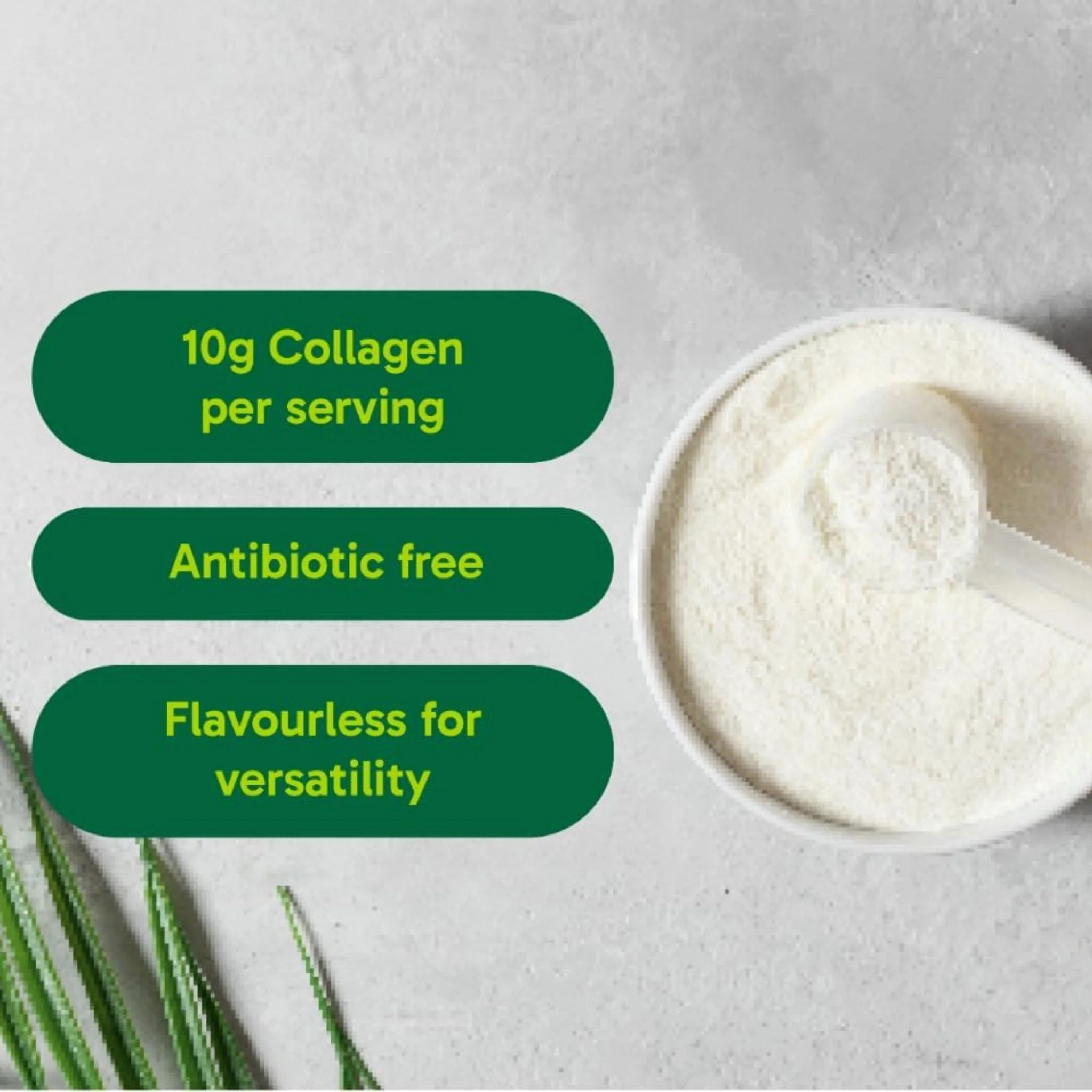 Organika Enhanced Collagen Powder (100% flavourless hydrolyzed collagen peptides), 250-500g - Image 3