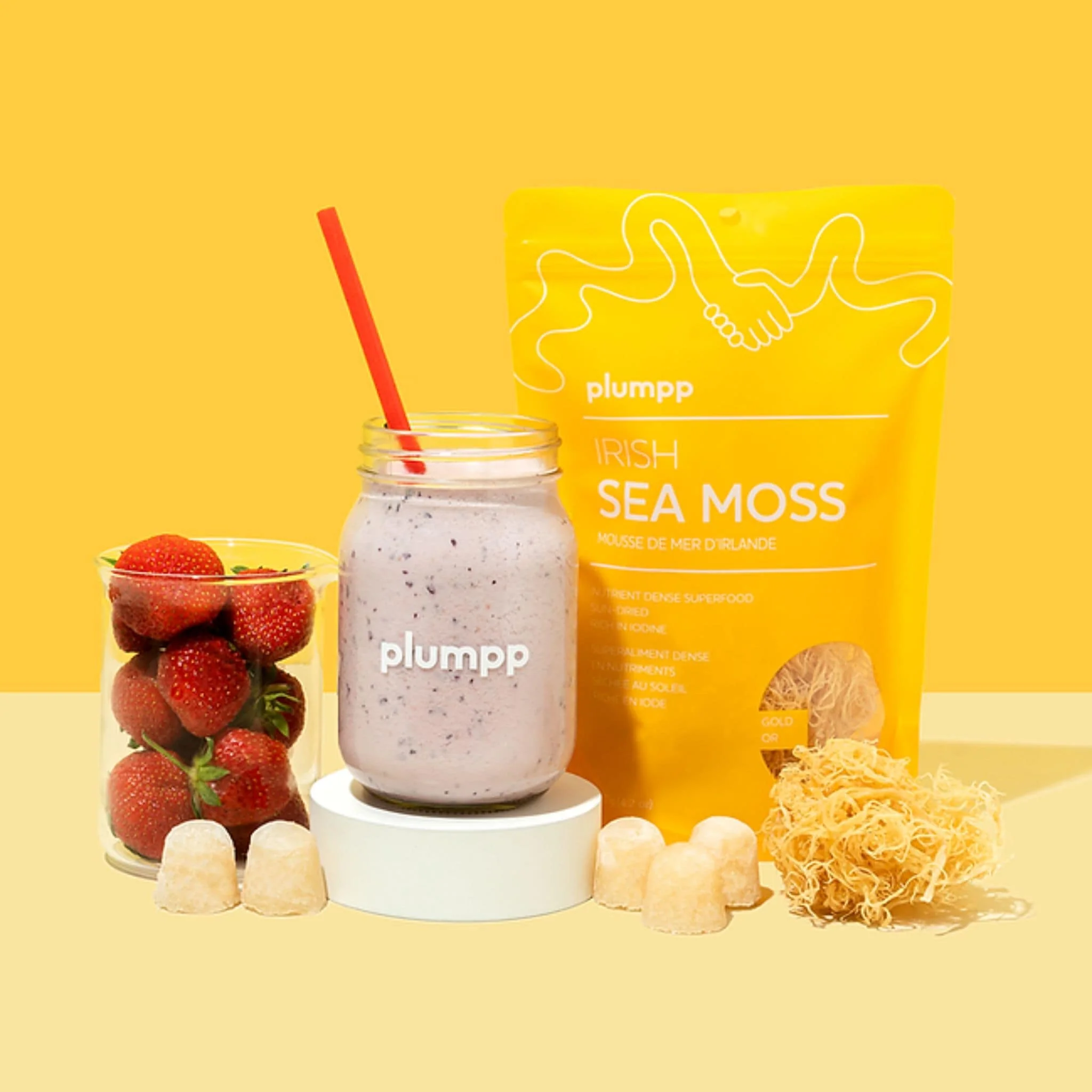Plumpp Irish Sea Moss Superfood Sun Dried - Image 5
