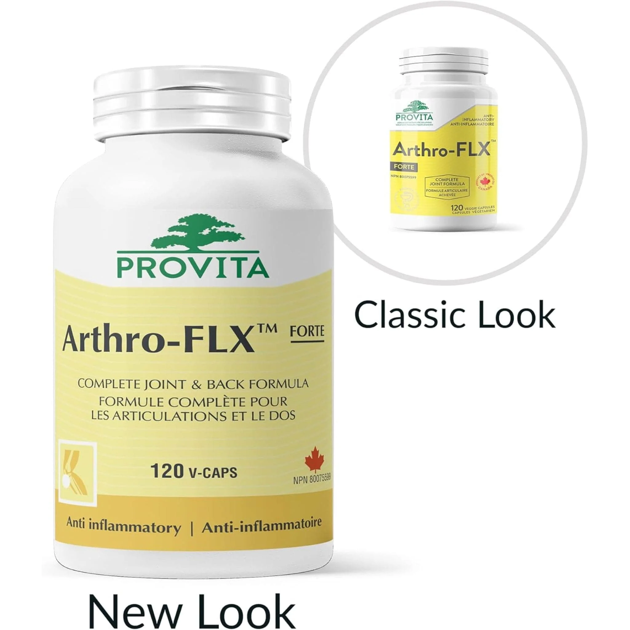 Provita Arthro-FLX Forte, 120 Caps - Image 3