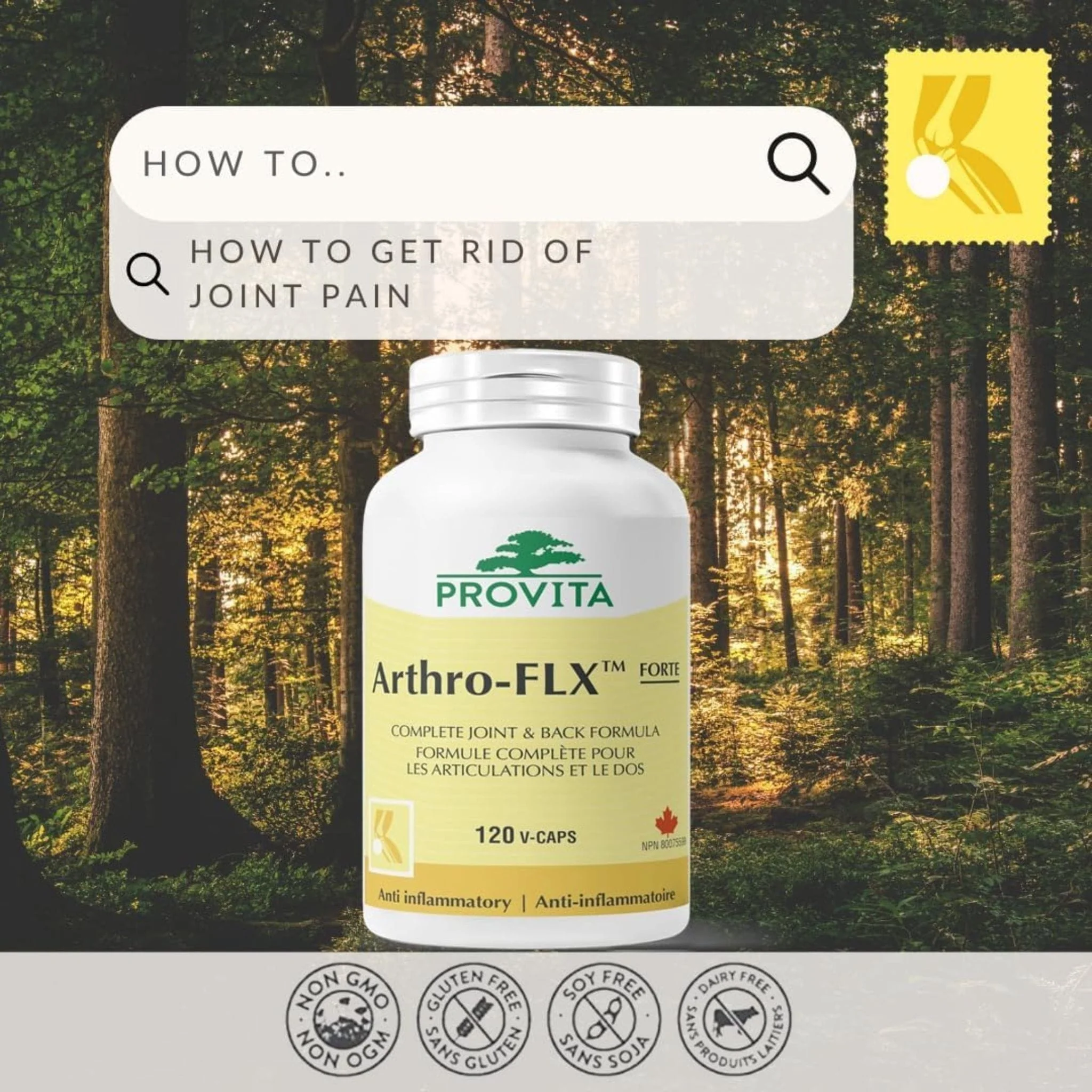Provita Arthro-FLX Forte, 120 Caps - Image 4