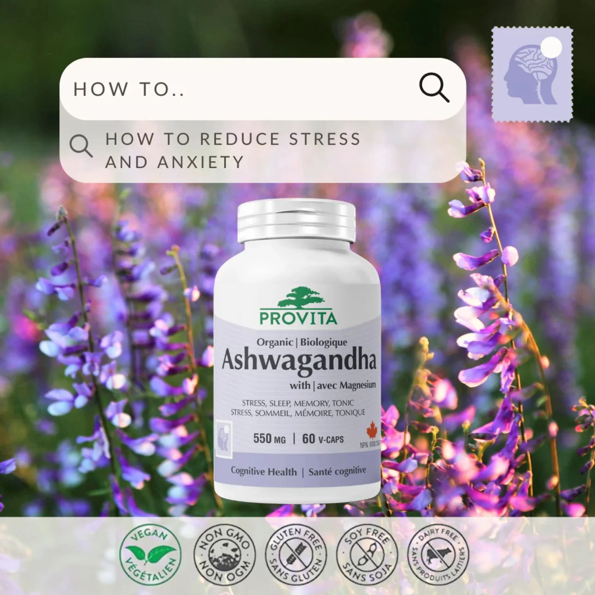 Provita Ashwagandha 550mg with Magnesium 50mg, 60 Capsules - Image 4