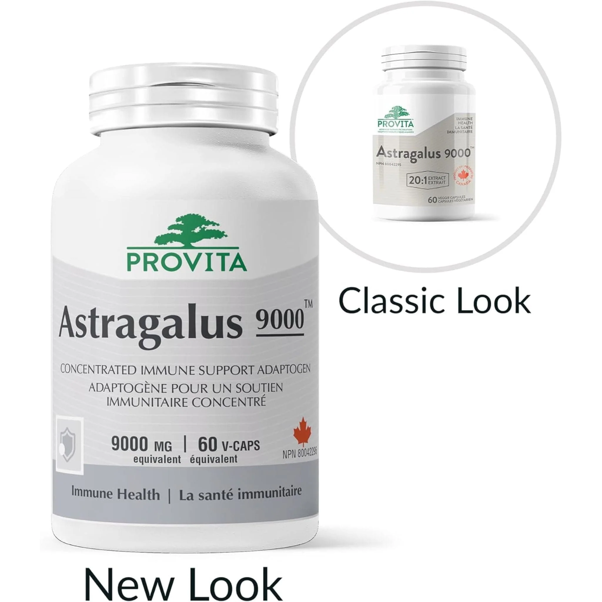 Provita Astragalus 9000, 60 Capsules - Image 2