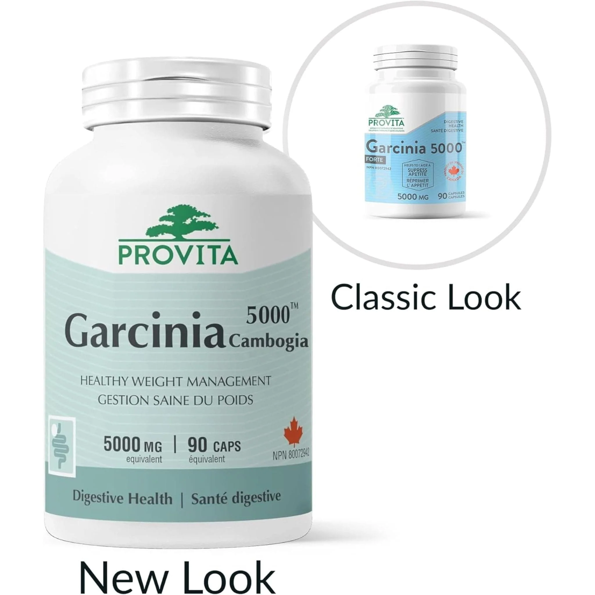 Provita Garcinia 5000 Forte, 90 Capsules - Image 5