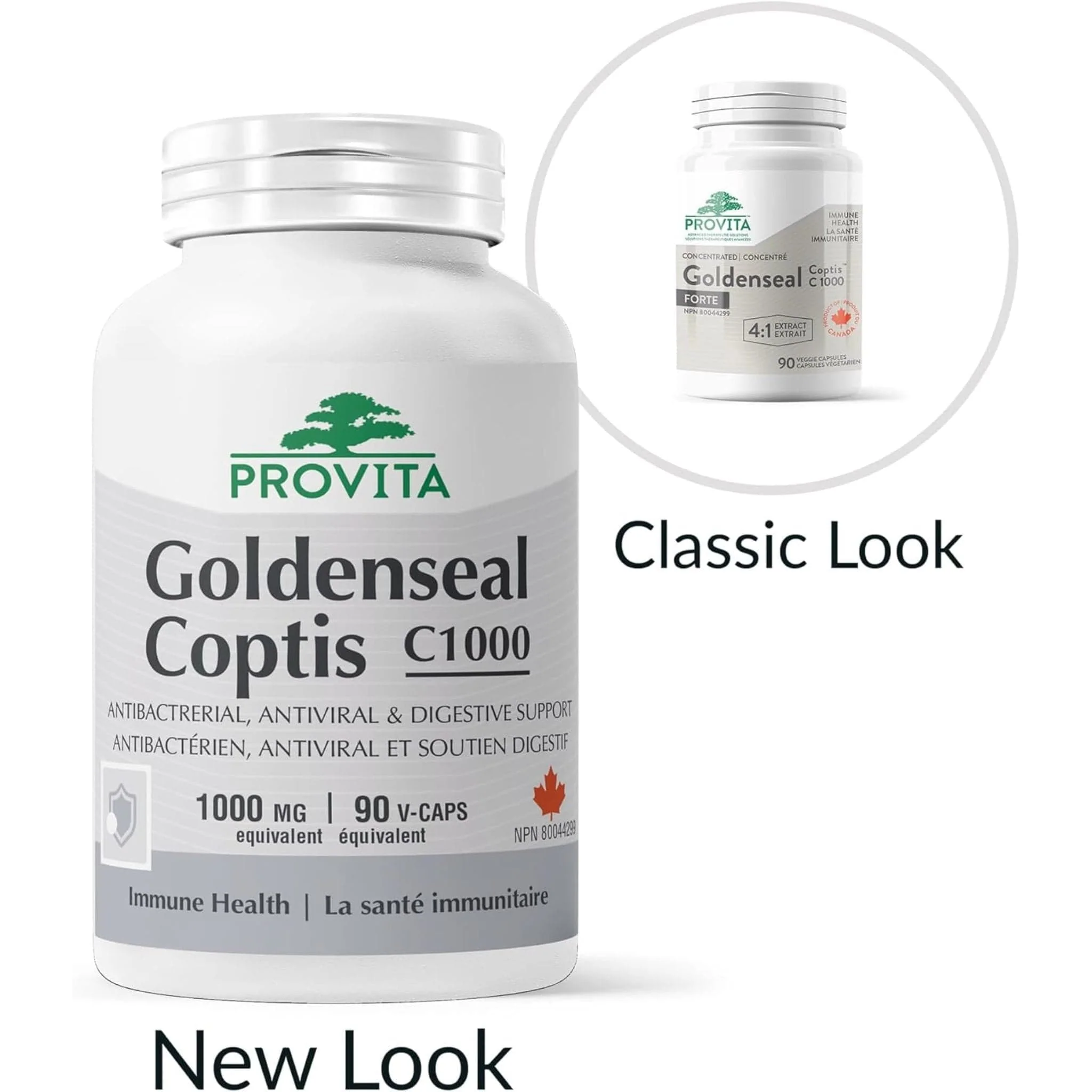 Provita Goldenseal Coptis C1000, 90 Capsules - Image 4