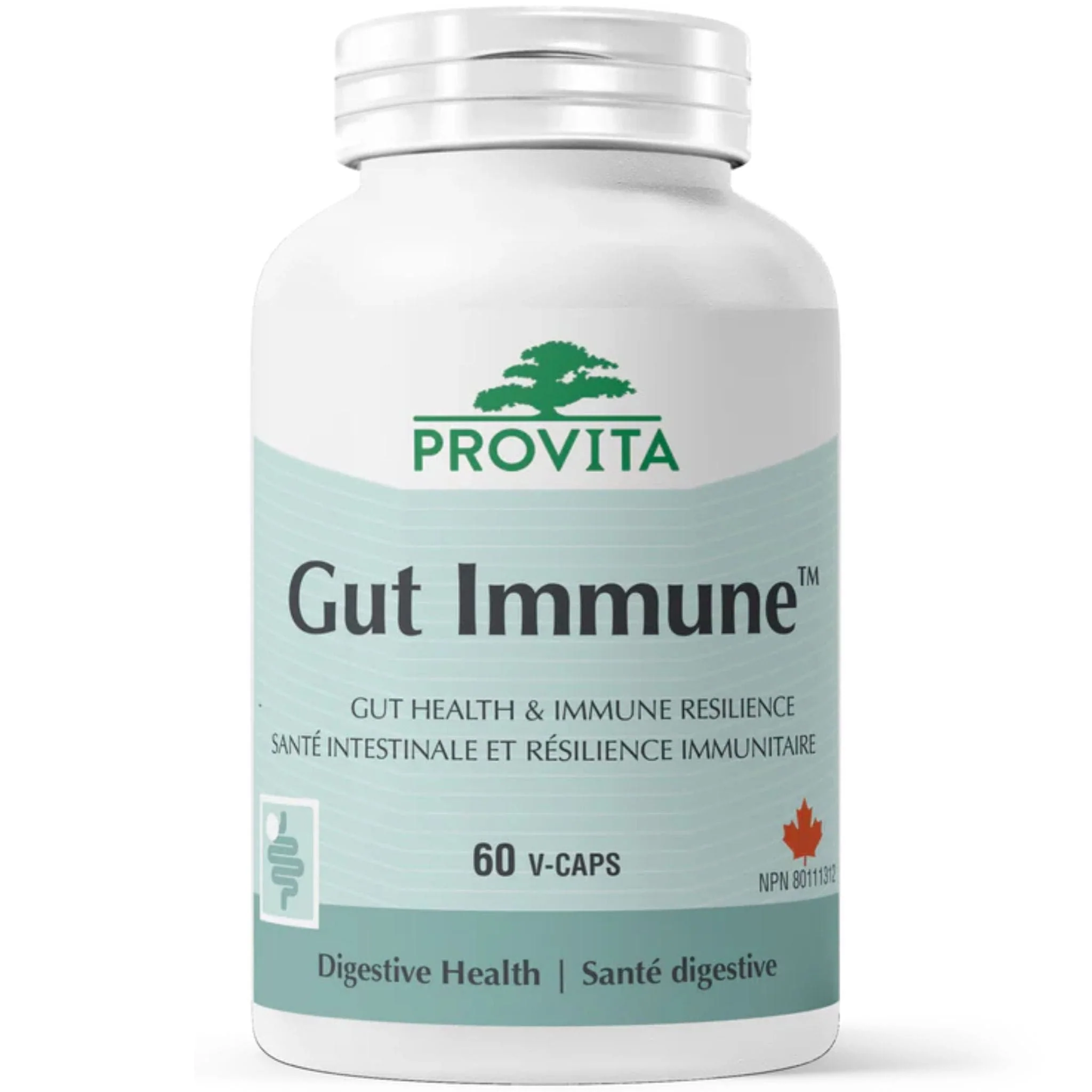 Provita Gut Immune, Supports Gut Health and Immune Function, 60 Vegetable Capsules - Image 2