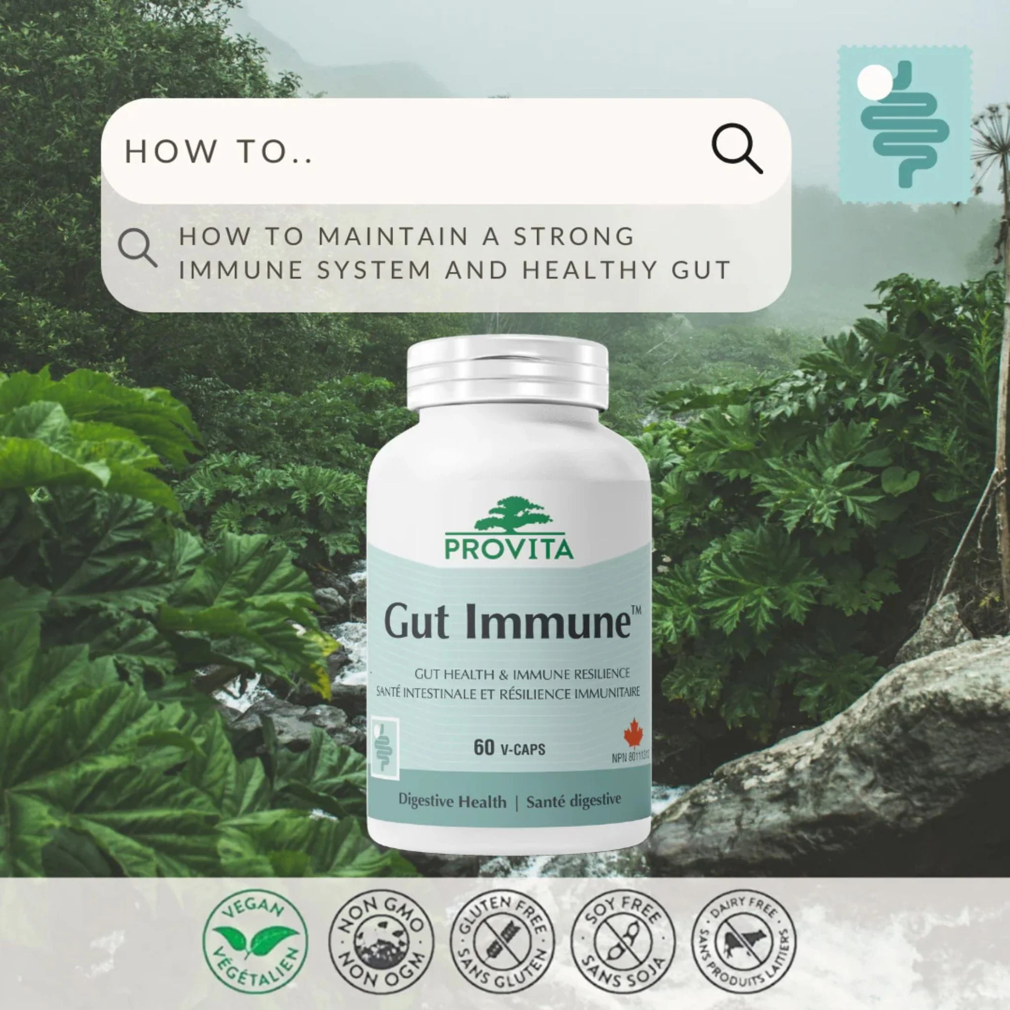 Provita Gut Immune, Supports Gut Health and Immune Function, 60 Vegetable Capsules - Image 5
