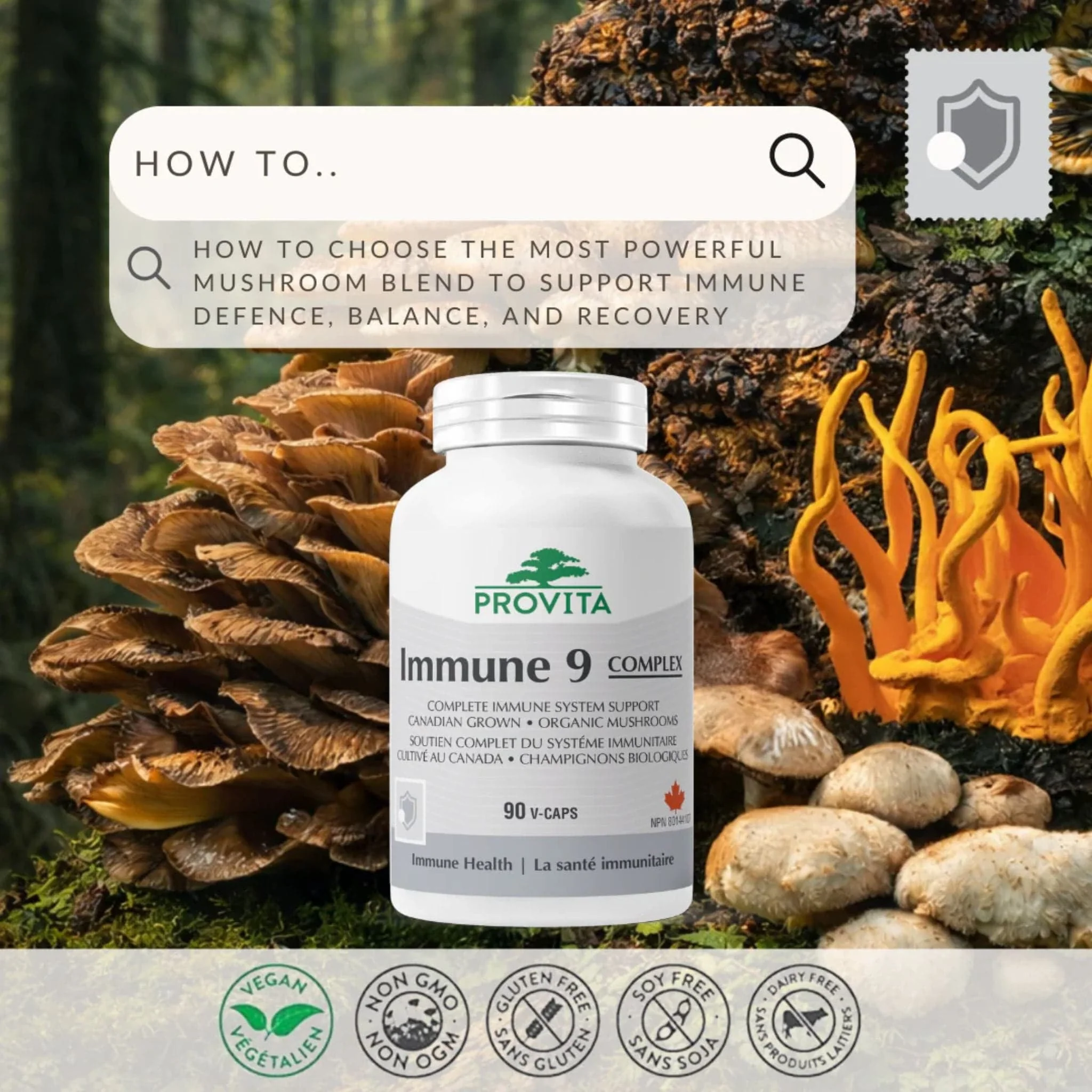 Provita Immune 9 Complex, Full-Spectrum Blend of 9 Organic Medicinal Mushrooms with Reishi and Cordyceps for Immune Support, 90 Vegetable Capsules - Image 5