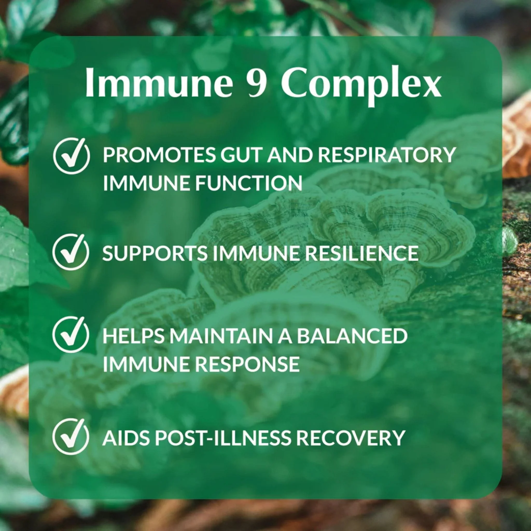 Provita Immune 9 Complex, Full-Spectrum Blend of 9 Organic Medicinal Mushrooms with Reishi and Cordyceps for Immune Support, 90 Vegetable Capsules - Image 6