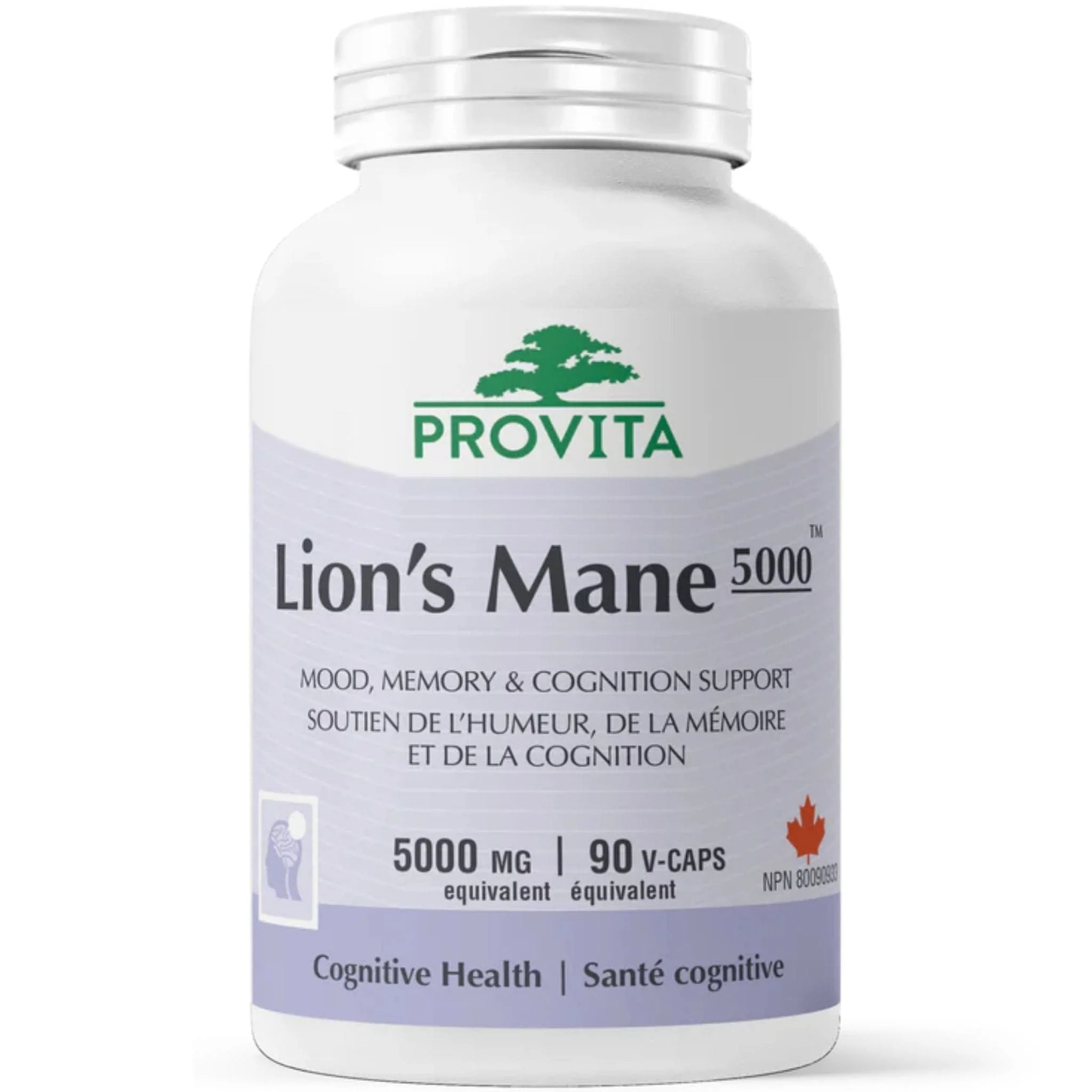 Provita Lion's Mane 5000, 90 Capsules