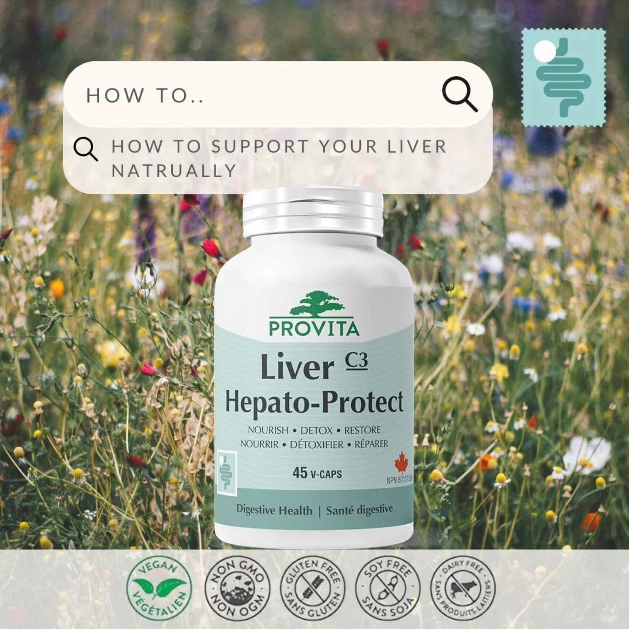 Provita Liver Hepato-Protect, 45 Caps - Image 5