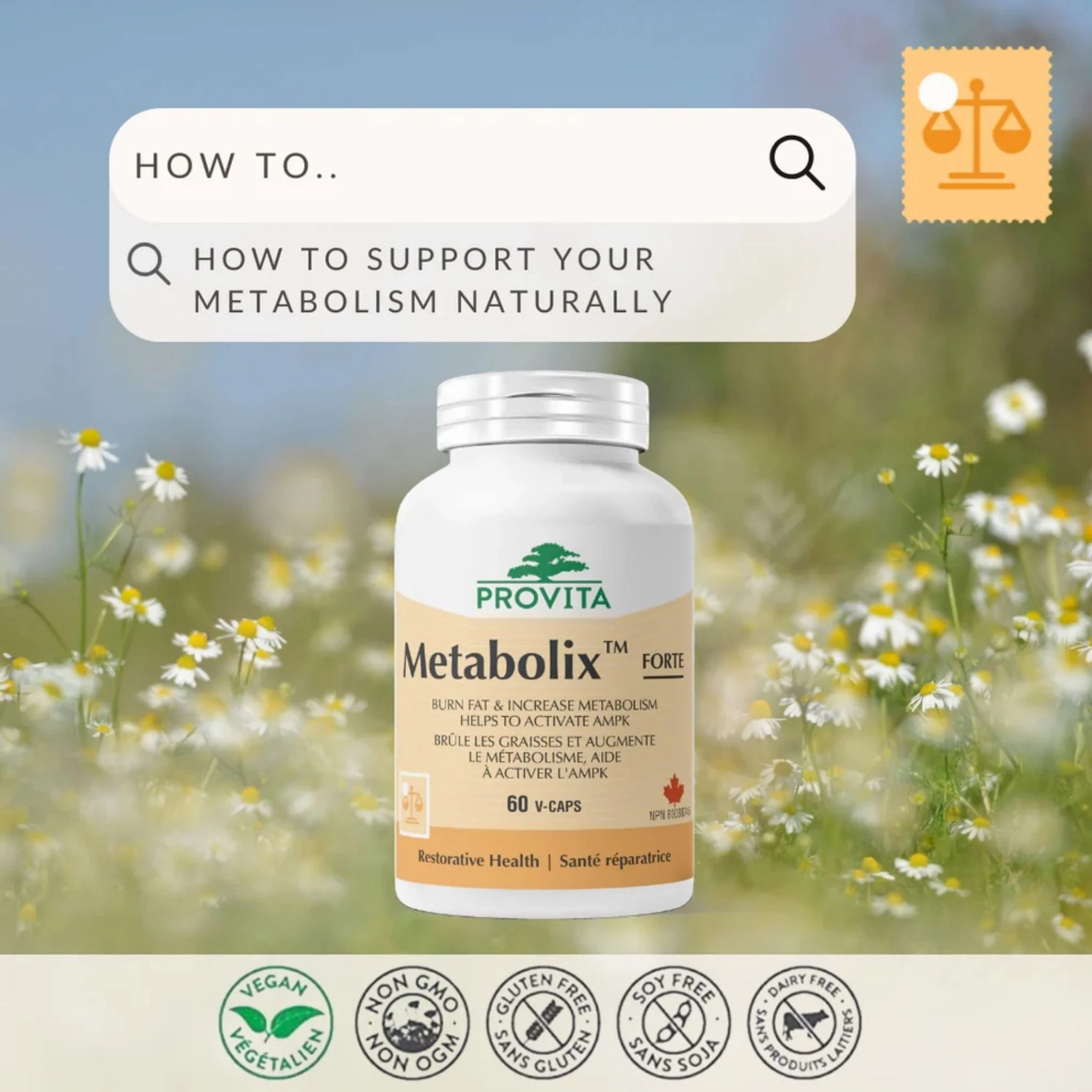 Provita Metabolix AMPK, Helps activate AMPK to switch from burning glucose to burning fat energy, 60 Capsules - Image 4
