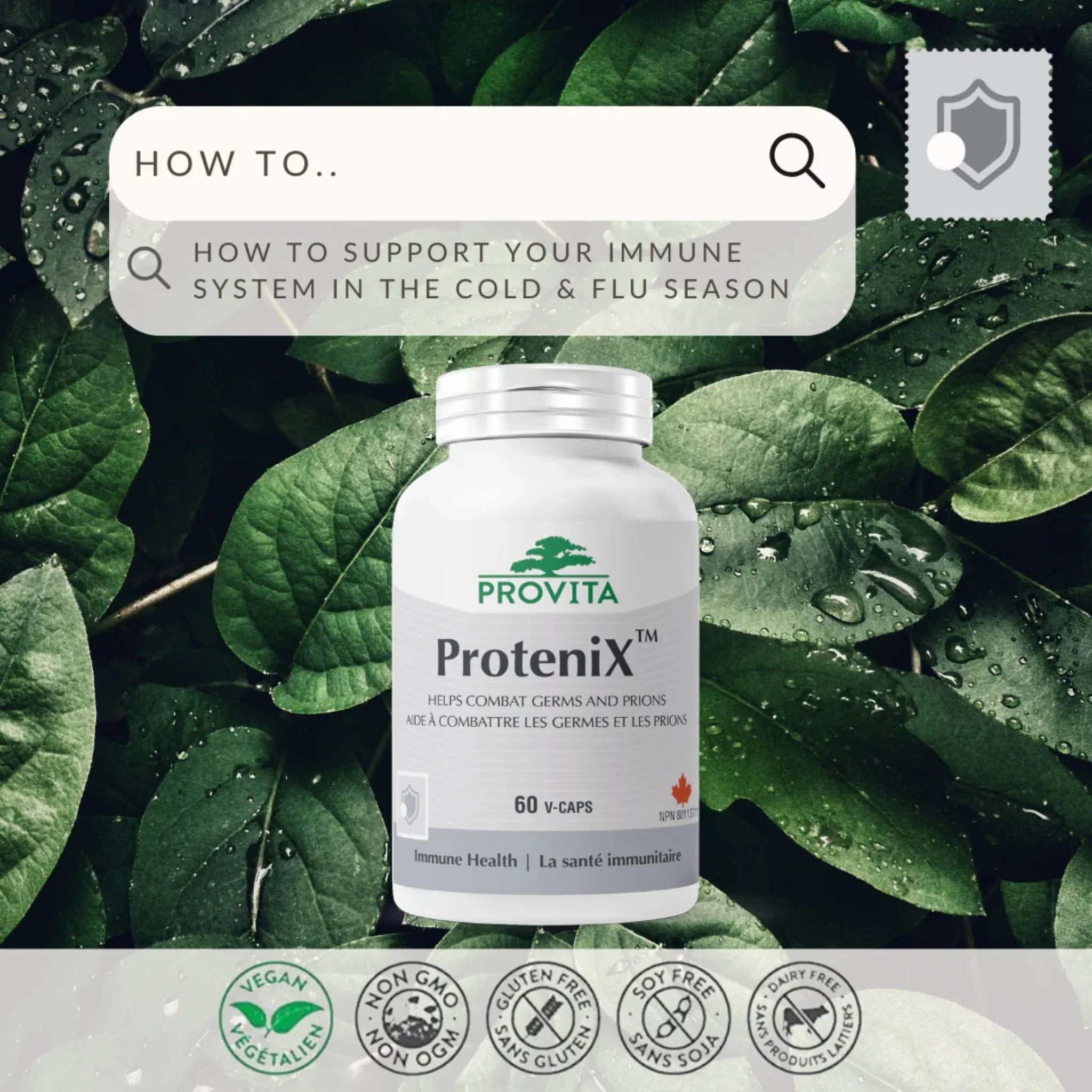 Provita ProteniX, Cold and Flu Support, 60 Capsules - Image 4
