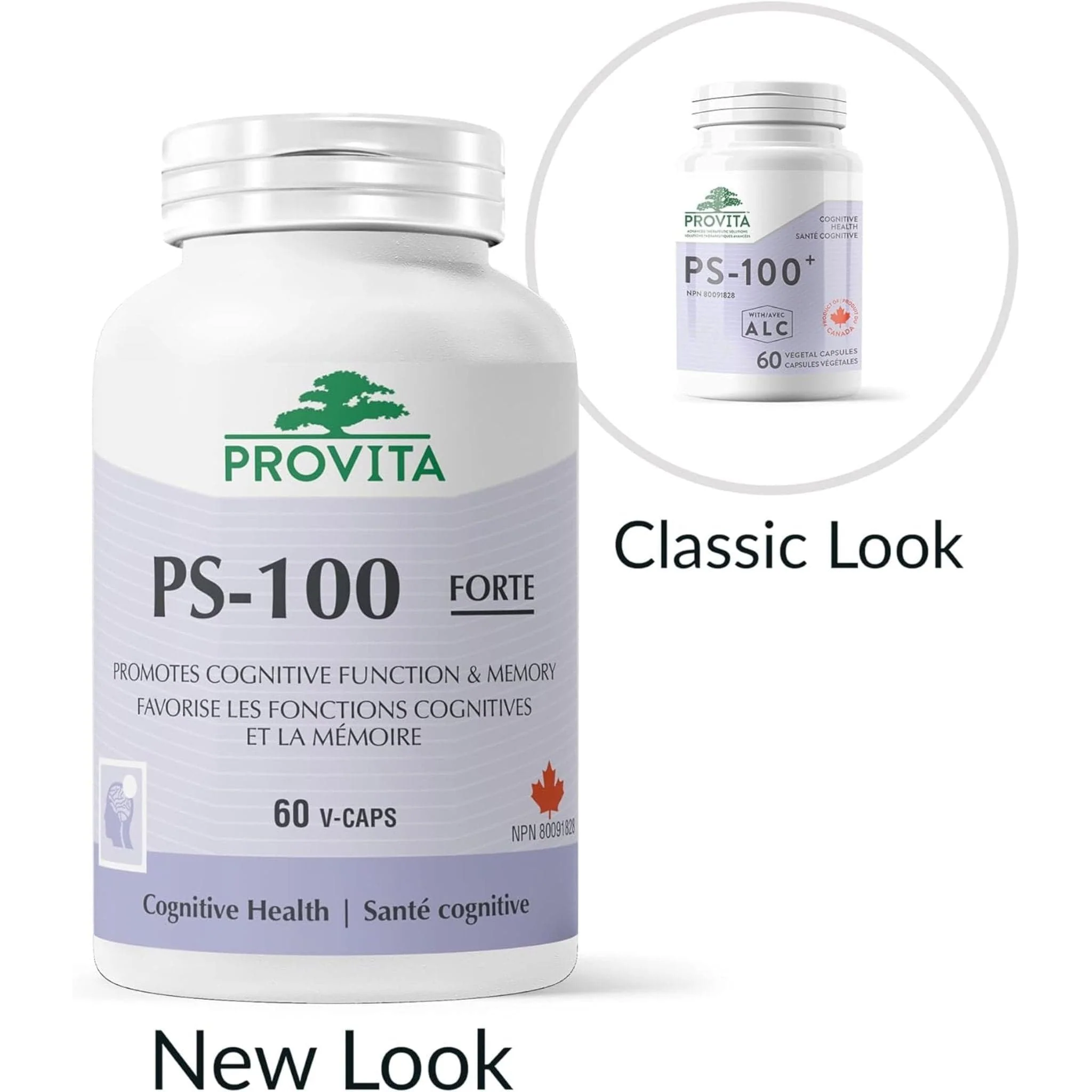 Provita PS-100+ Phosphatidylserine with Acetyl-L-Carnitine, 60 Capsules - Image 3
