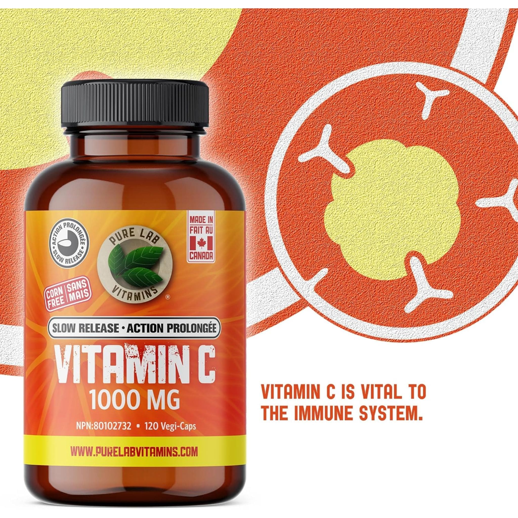 Pure Lab Vitamins Vitamin C 1000mg Slow Release, 120 Capsules - Image 6