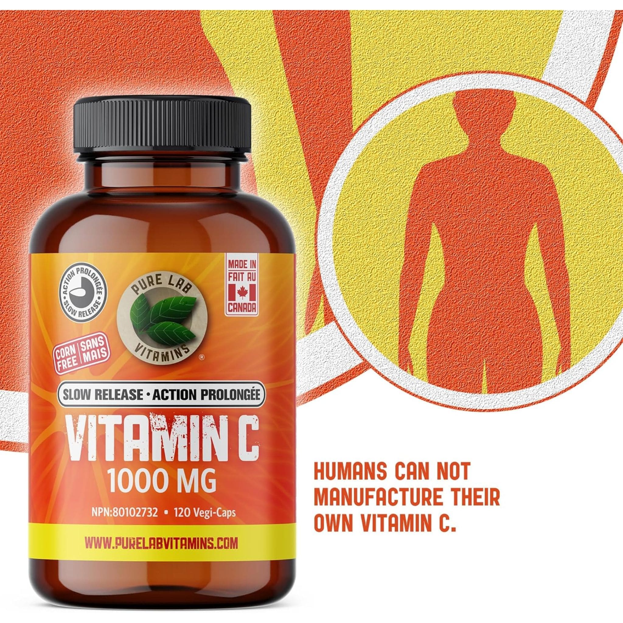 Pure Lab Vitamins Vitamin C 1000mg Slow Release, 120 Capsules - Image 7