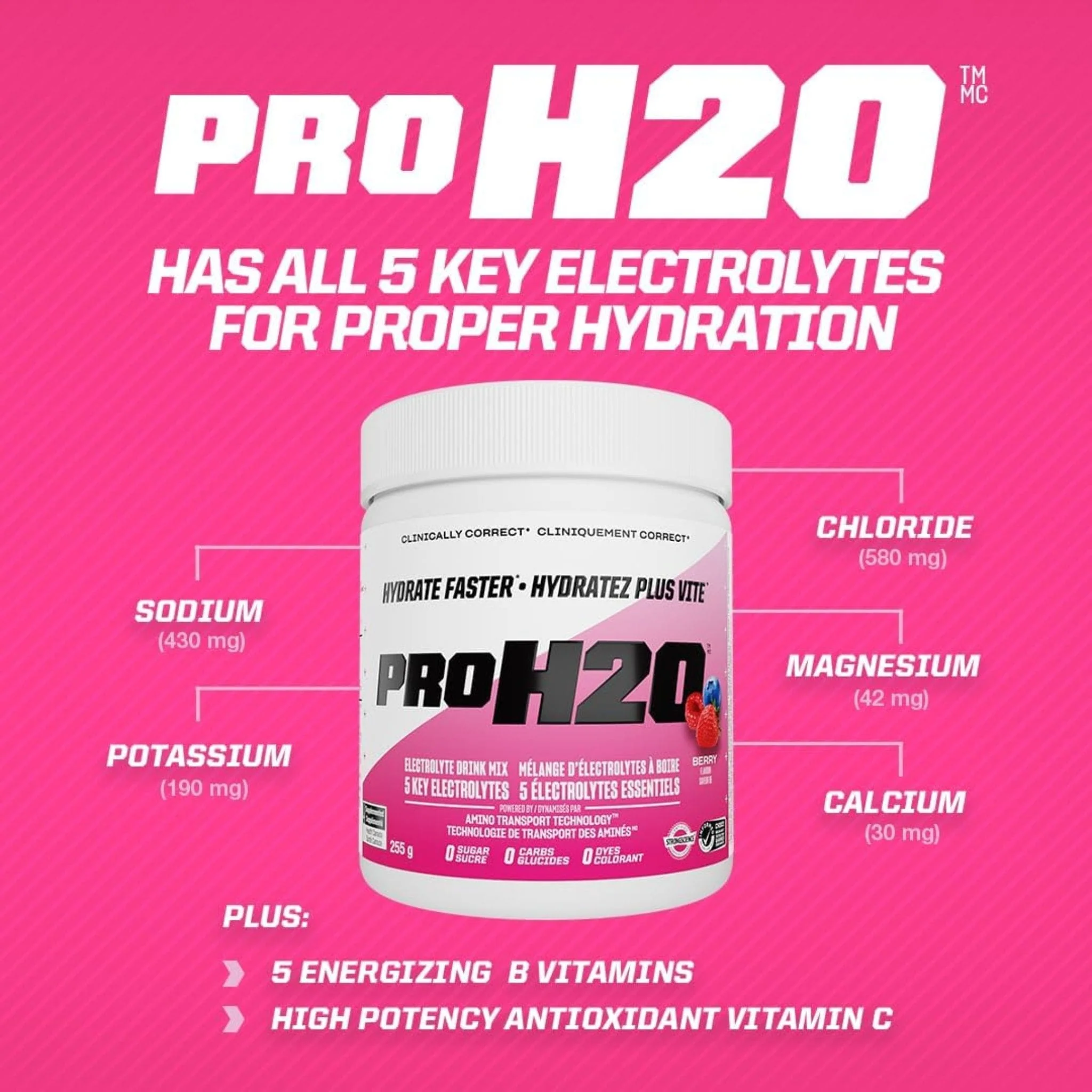 PVL Pro Series Pro H20, Rapid Hydration Electrolytes, 255g - Image 15