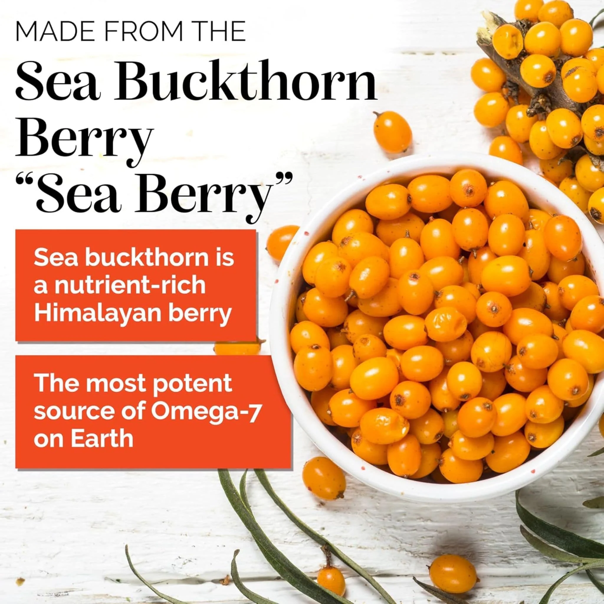 SIBU Omega-7 Sea Buckthorn Oil - Image 5