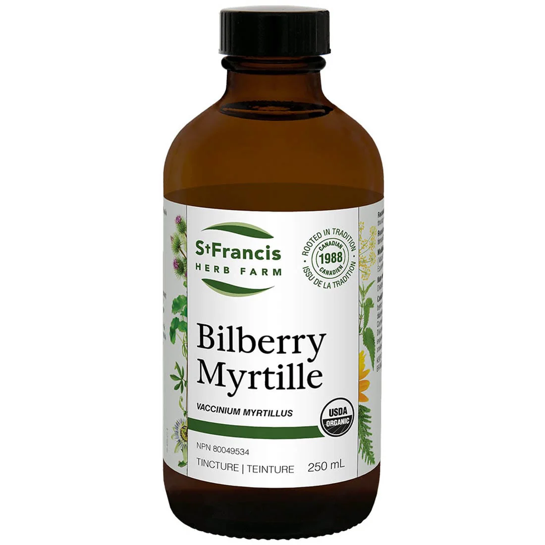 St. Francis Bilberry Leaf & Berry, Liquid Bilberry, Improves vision, Treats degenerative retinal conditions, varicose veins, atherosclerosis, venous insufficiency, hemorrhoids - Image 4