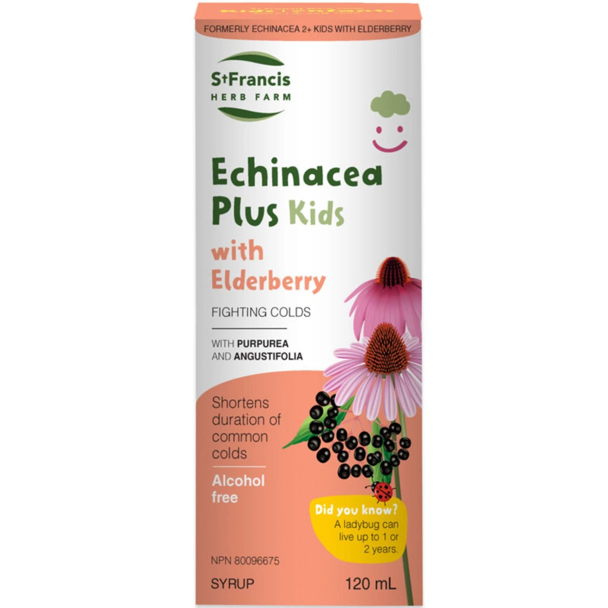 St. Francis Echinacea Plus with Elderberry For Kids, 120ml CLEARANCE 50% Off Expiry July/26 Final Sale