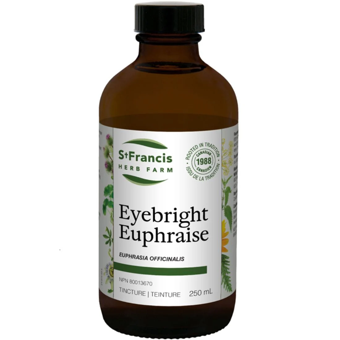 St. Francis Eyebright Liquid Extract - Image 3