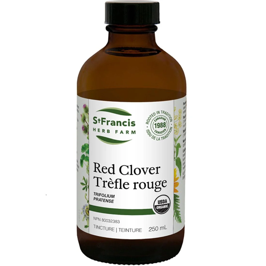 St. Francis Red Clover - Image 4
