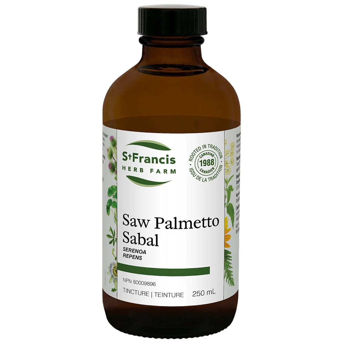 St. Francis Saw Palmetto - Image 4
