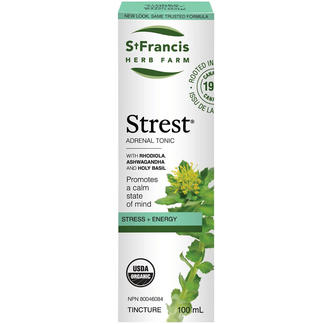 St. Francis Strest - Image 3