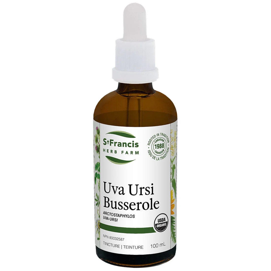 St. Francis Uva Ursi Liquid Tincture, For Acute and Chronic Recurring Urinary Tract Infections - Image 3