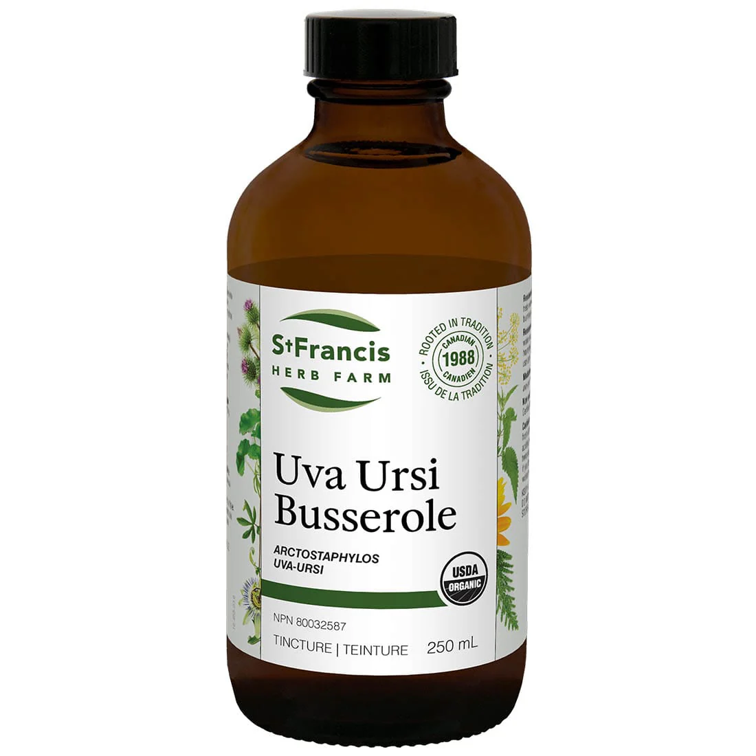 St. Francis Uva Ursi Liquid Tincture, For Acute and Chronic Recurring Urinary Tract Infections - Image 4