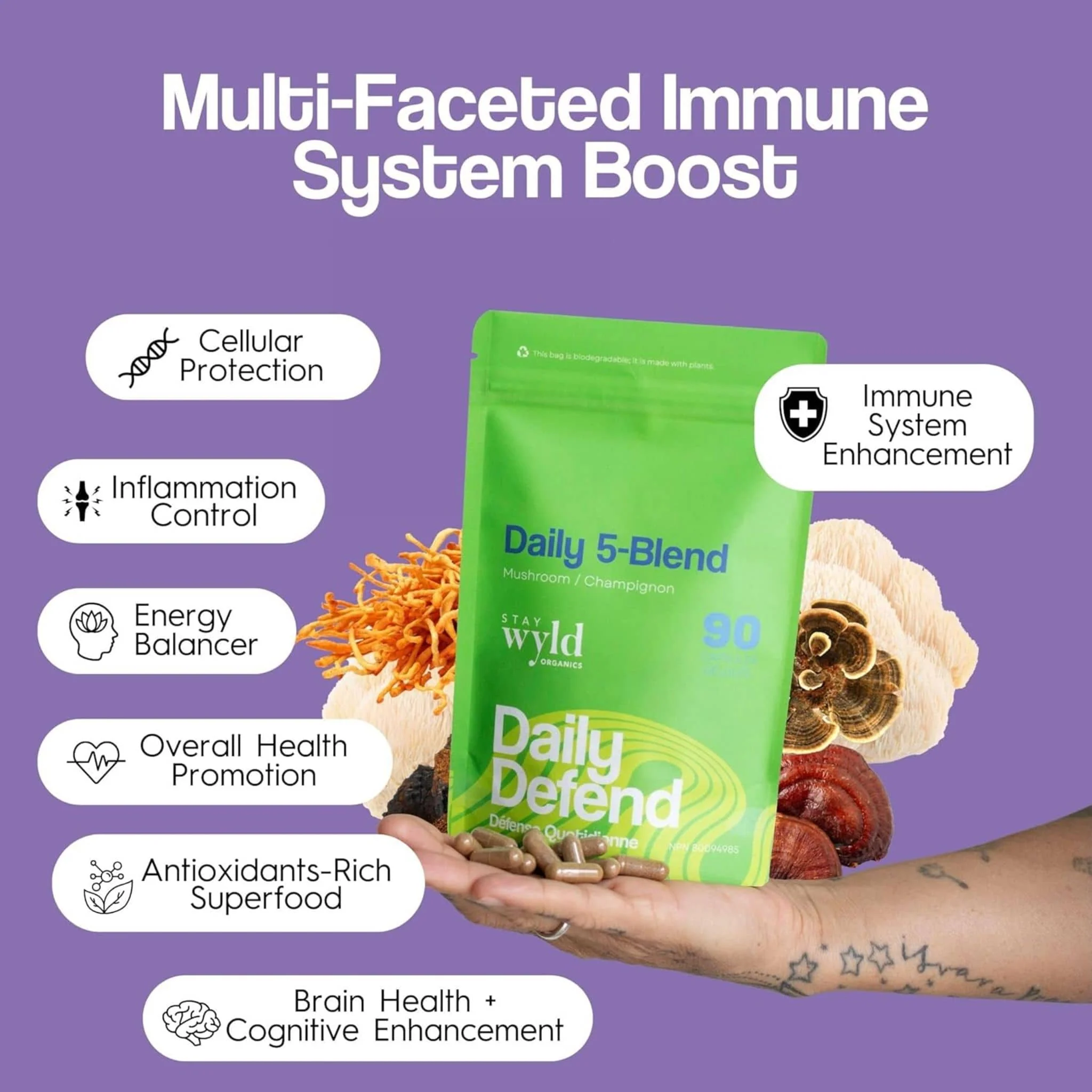 Stay Wyld Organics Daily Defend (Formerly Daily Immunity) Mushroom Blend, 90 Capsules - Image 4
