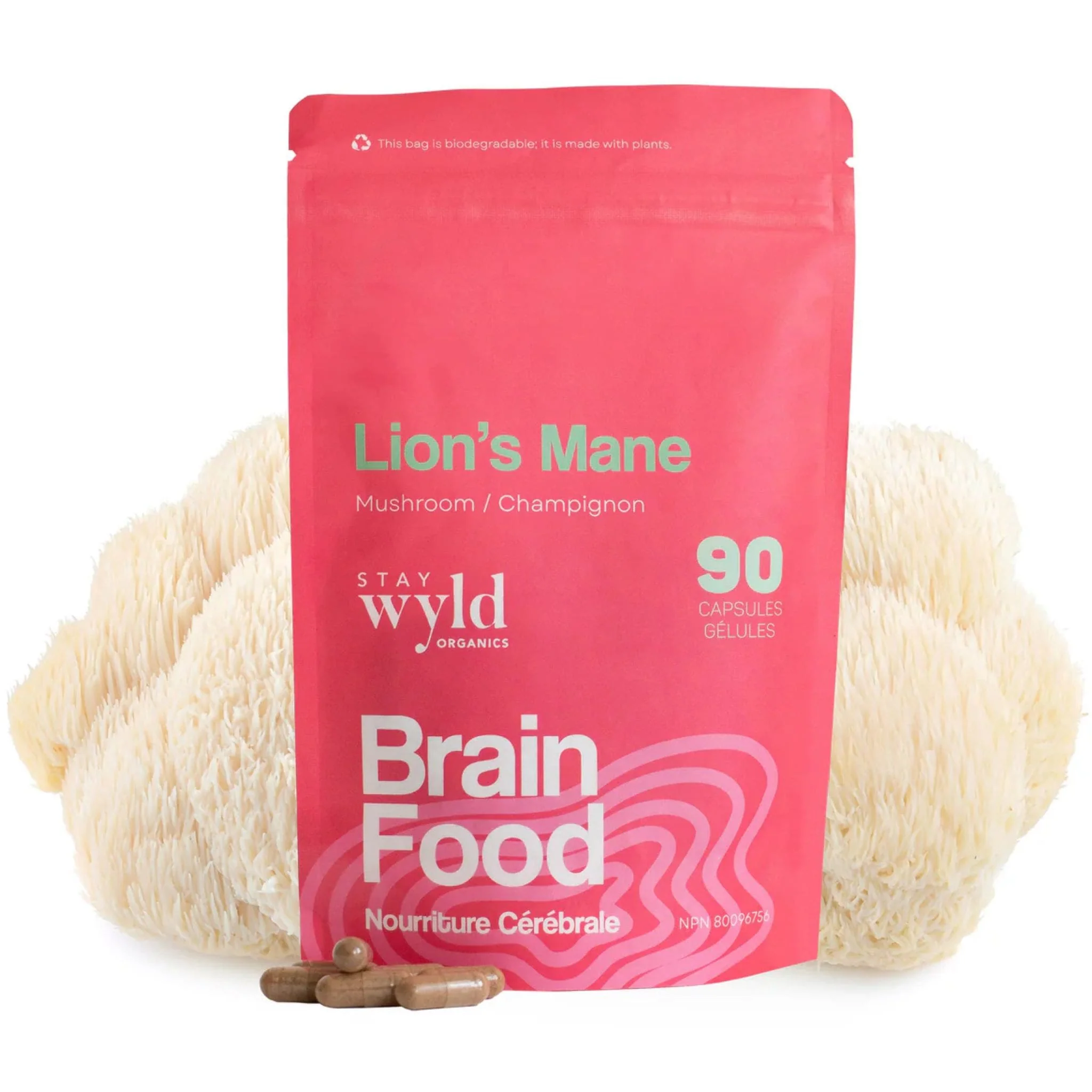 Stay Wyld Organics Brain Food, Lion's Mane (Memory & Brain Support), 90 Capsules
