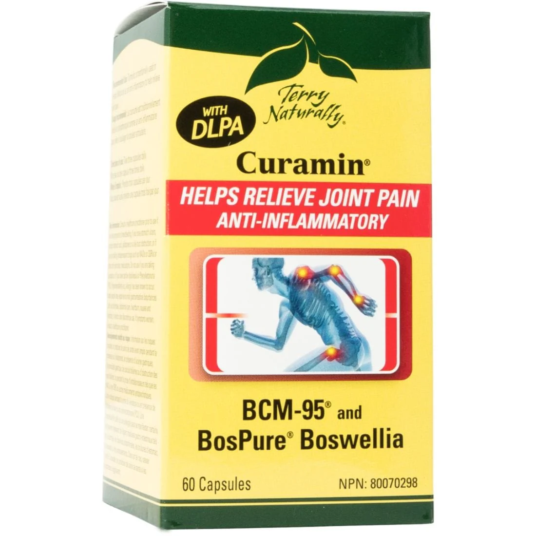 Terry Naturally Curamin with DLPA (Kosher), 60 Capsules