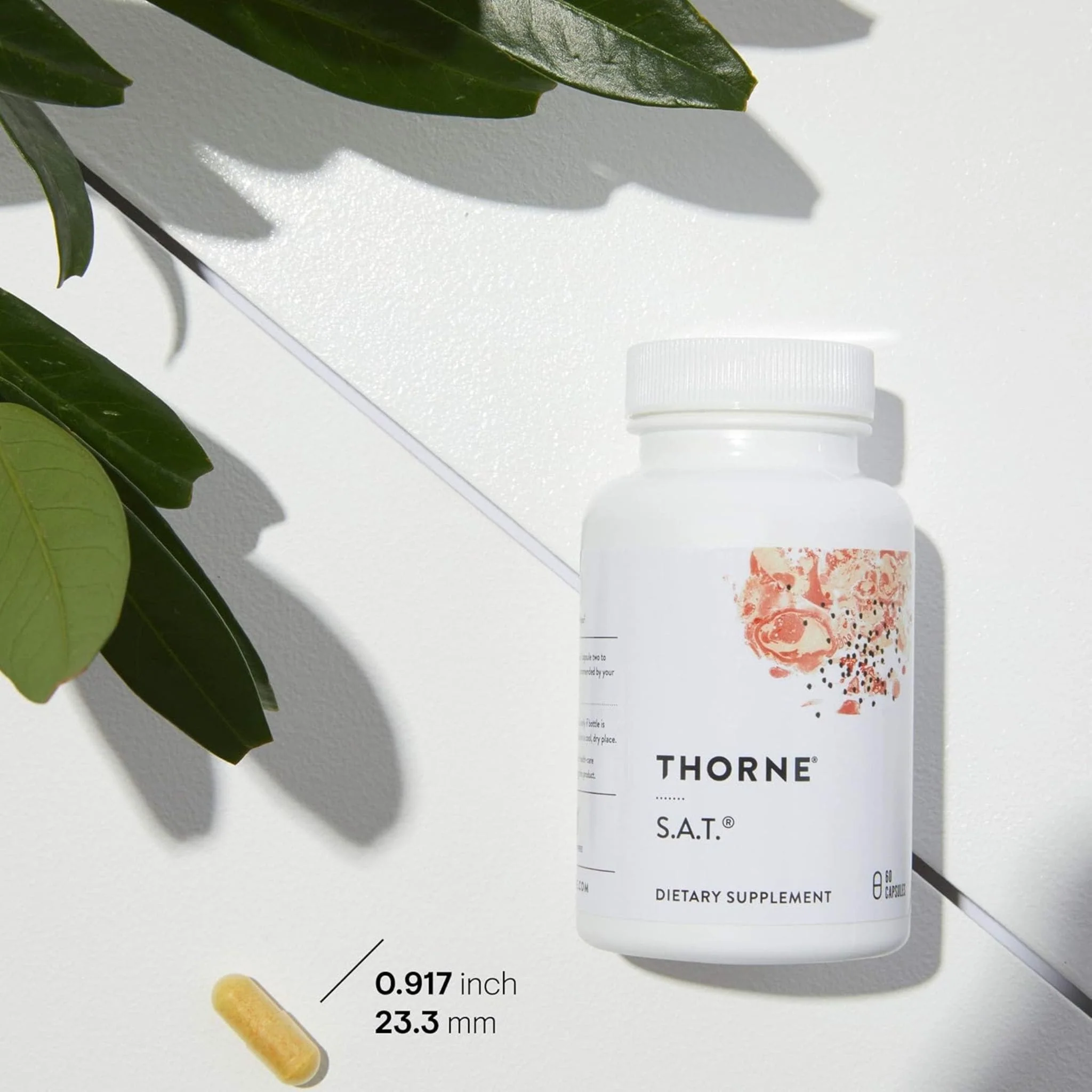Thorne SAT Silymarin, Artichoke, Turmeric, 60 Capsules - Image 2