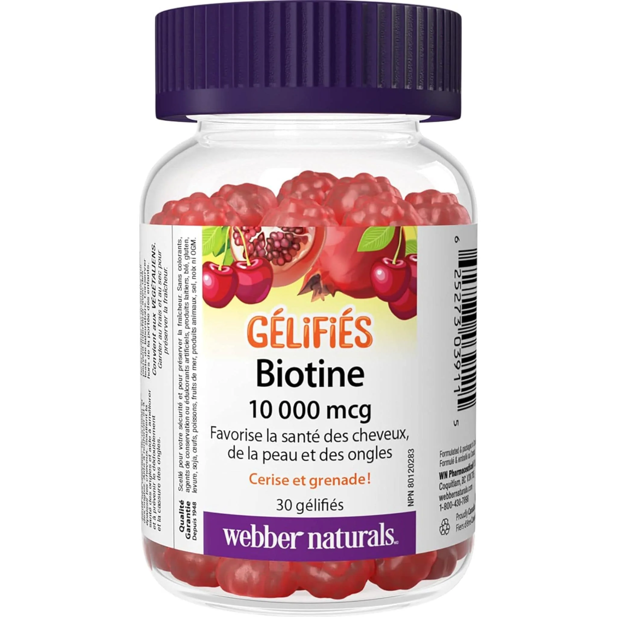 Webber Naturals Biotin 10,000 mcg Gummies for Healthy Hair, Skin and Nails, 30 Gummies - Image 2
