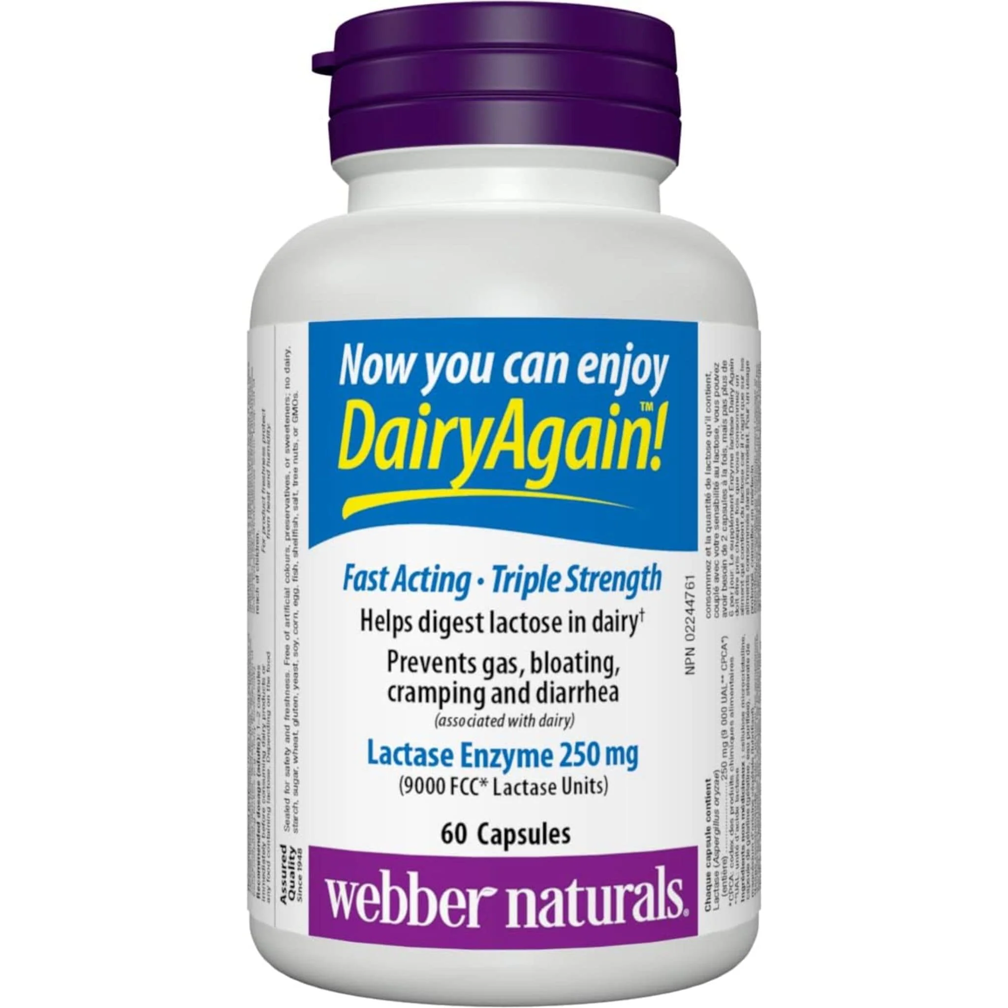 Webber Naturals Dairy Again, Lactase Enzyme 250mg, Helps Digest Lactose in Dairy, 60 Capsules - Image 3